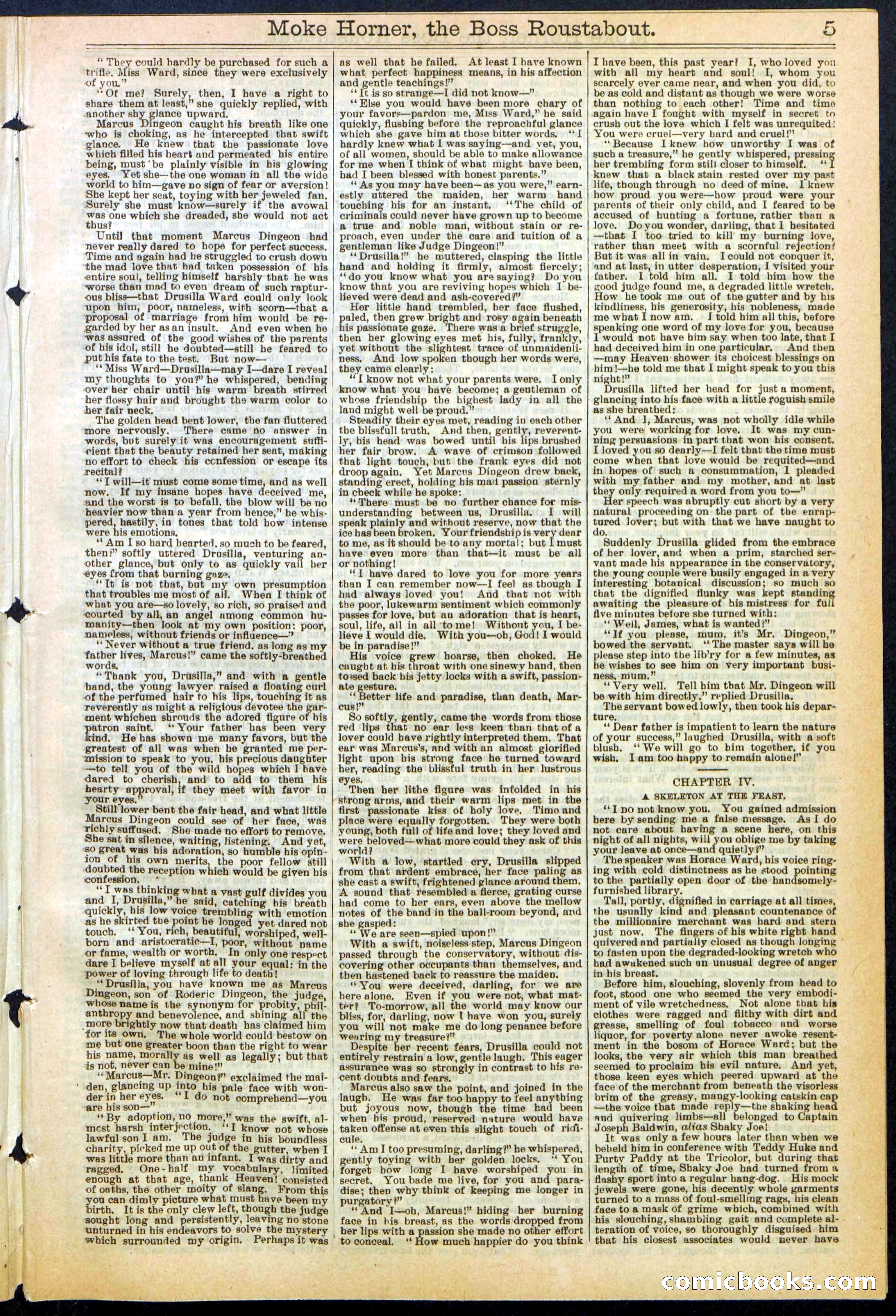 Beadle's New York Dime Library, No. 292 — page 5 of 32