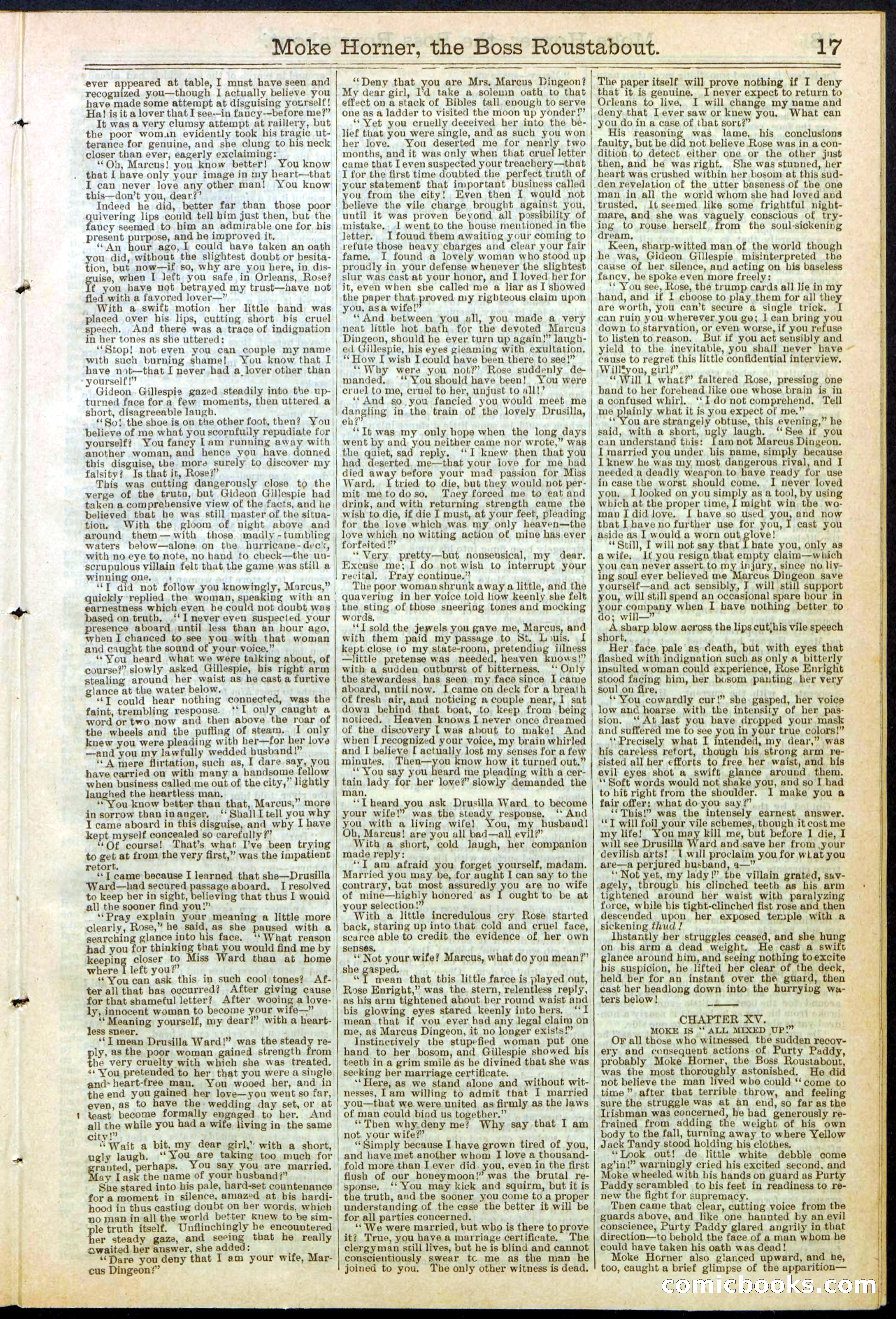 Beadle's New York Dime Library, No. 292 — page 17 of 32