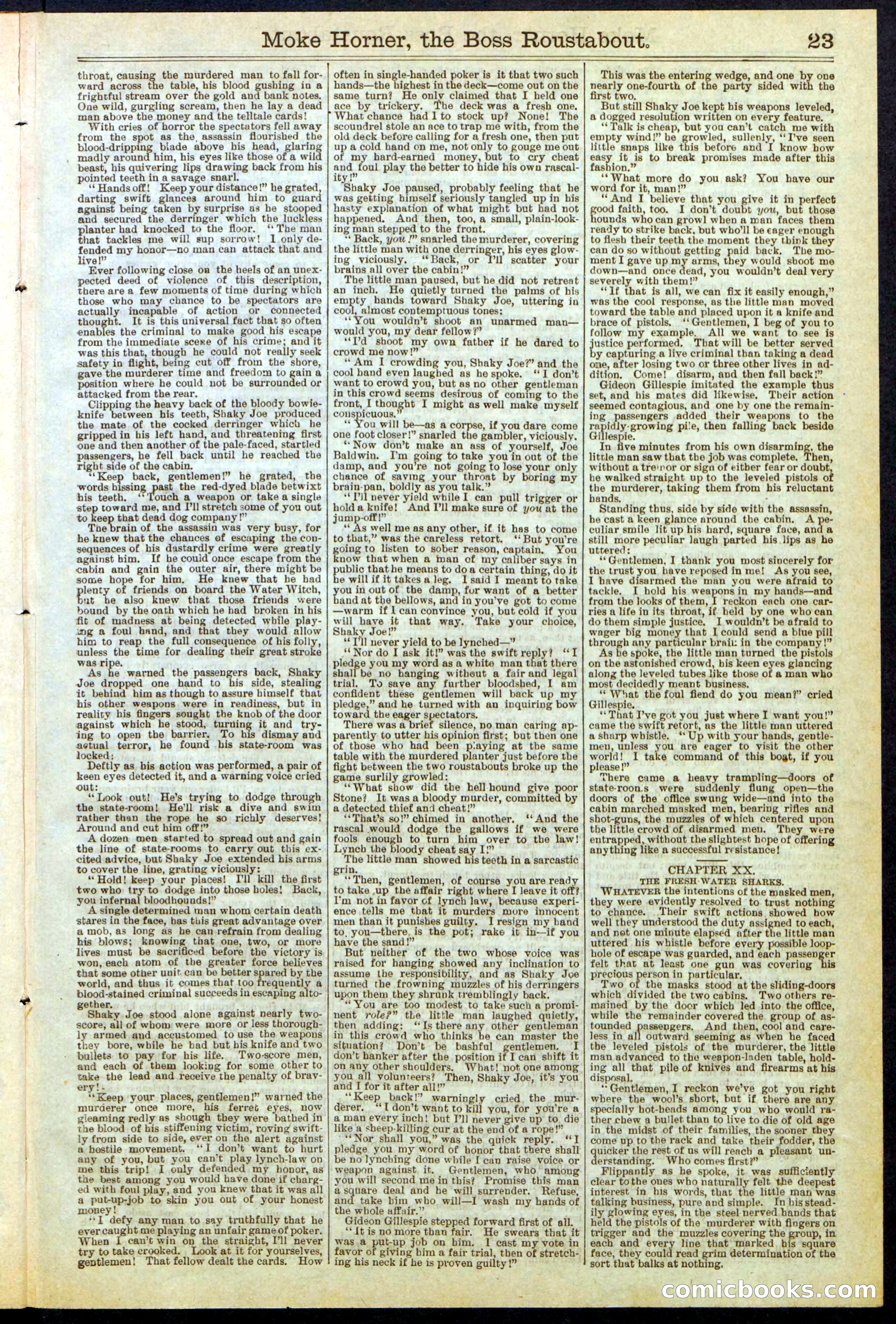 Beadle's New York Dime Library, No. 292 — page 23 of 32