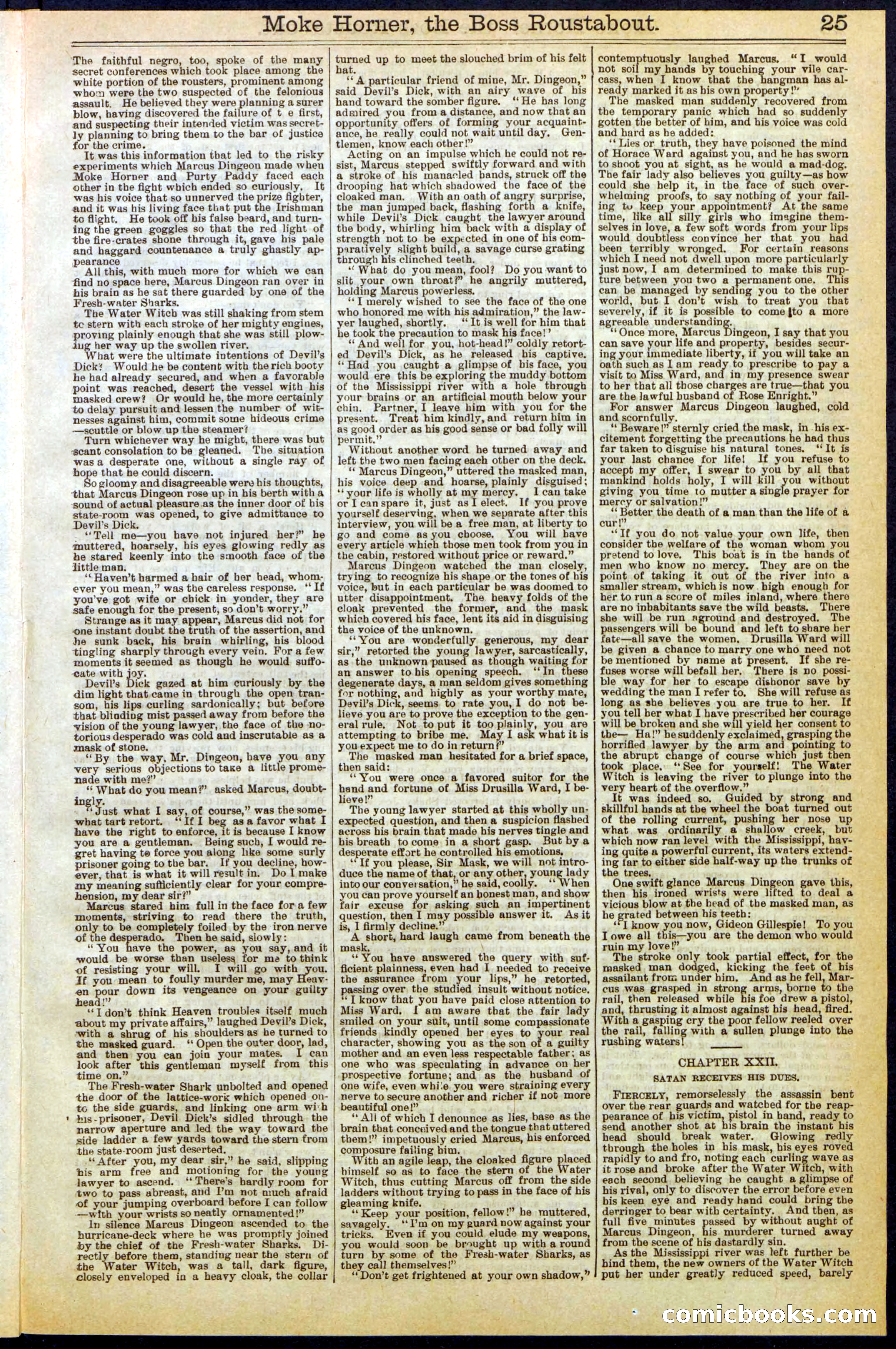 Beadle's New York Dime Library, No. 292 — page 25 of 32