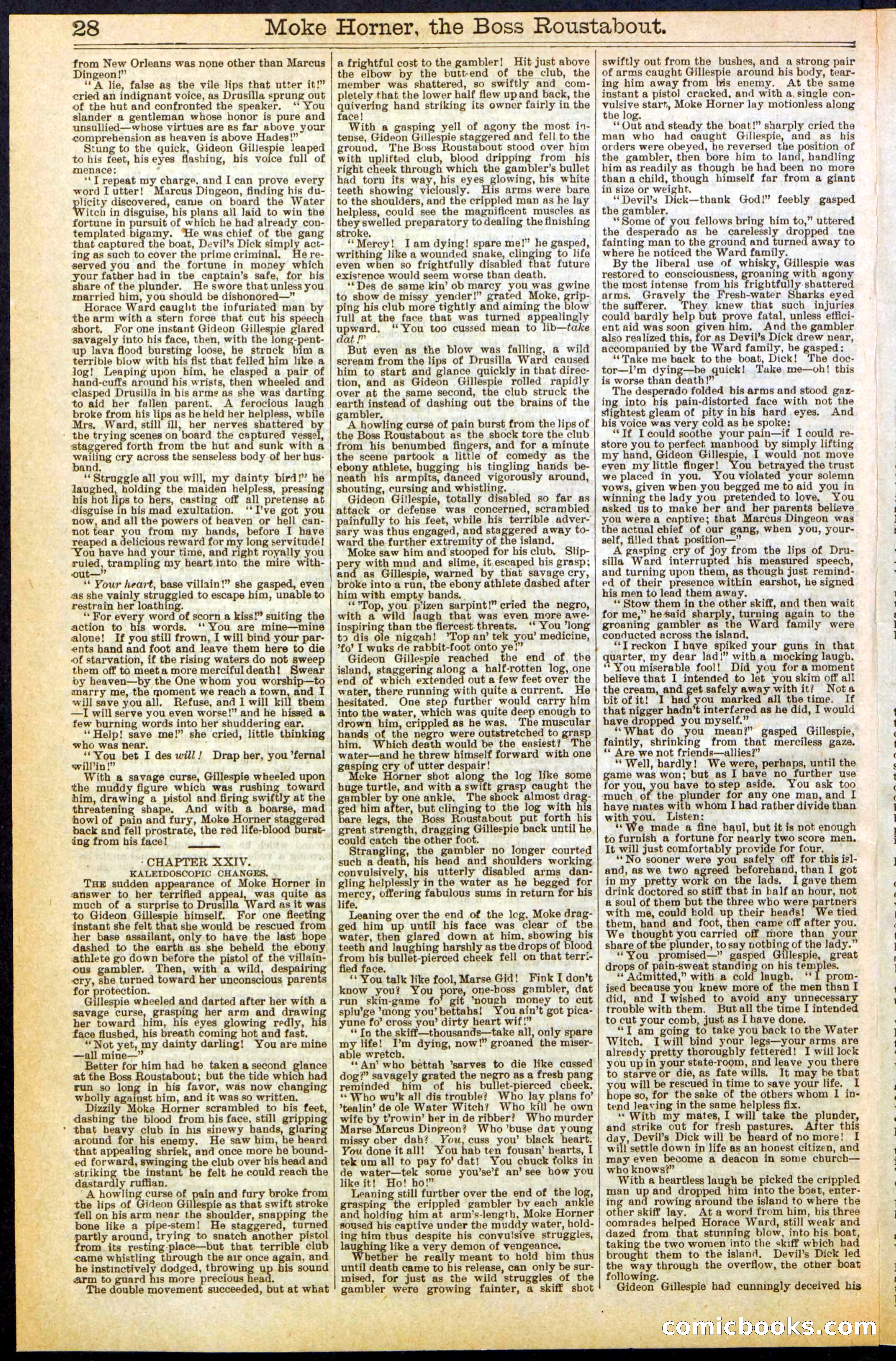 Beadle's New York Dime Library, No. 292 — page 28 of 32