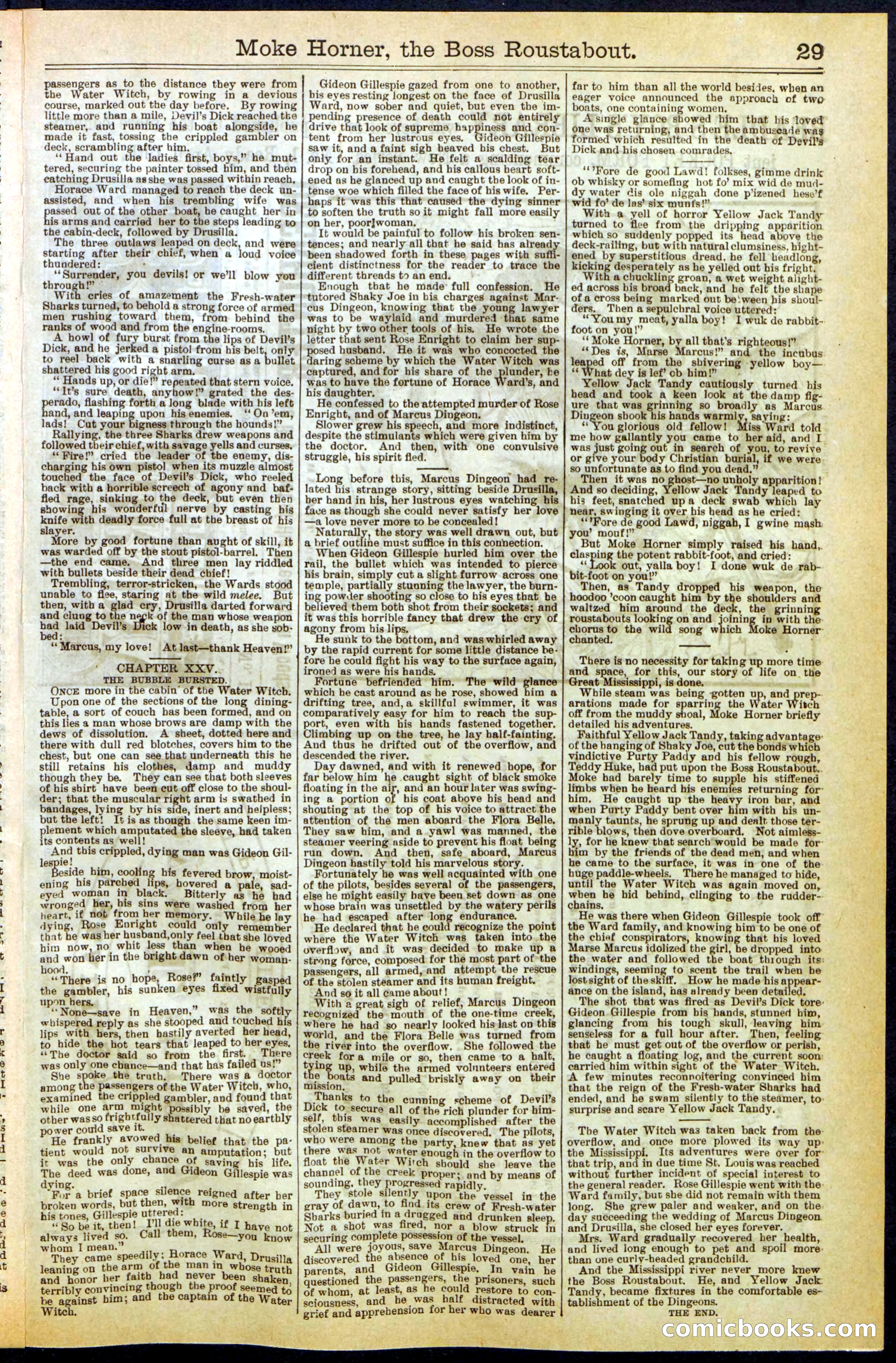 Beadle's New York Dime Library, No. 292 — page 29 of 32