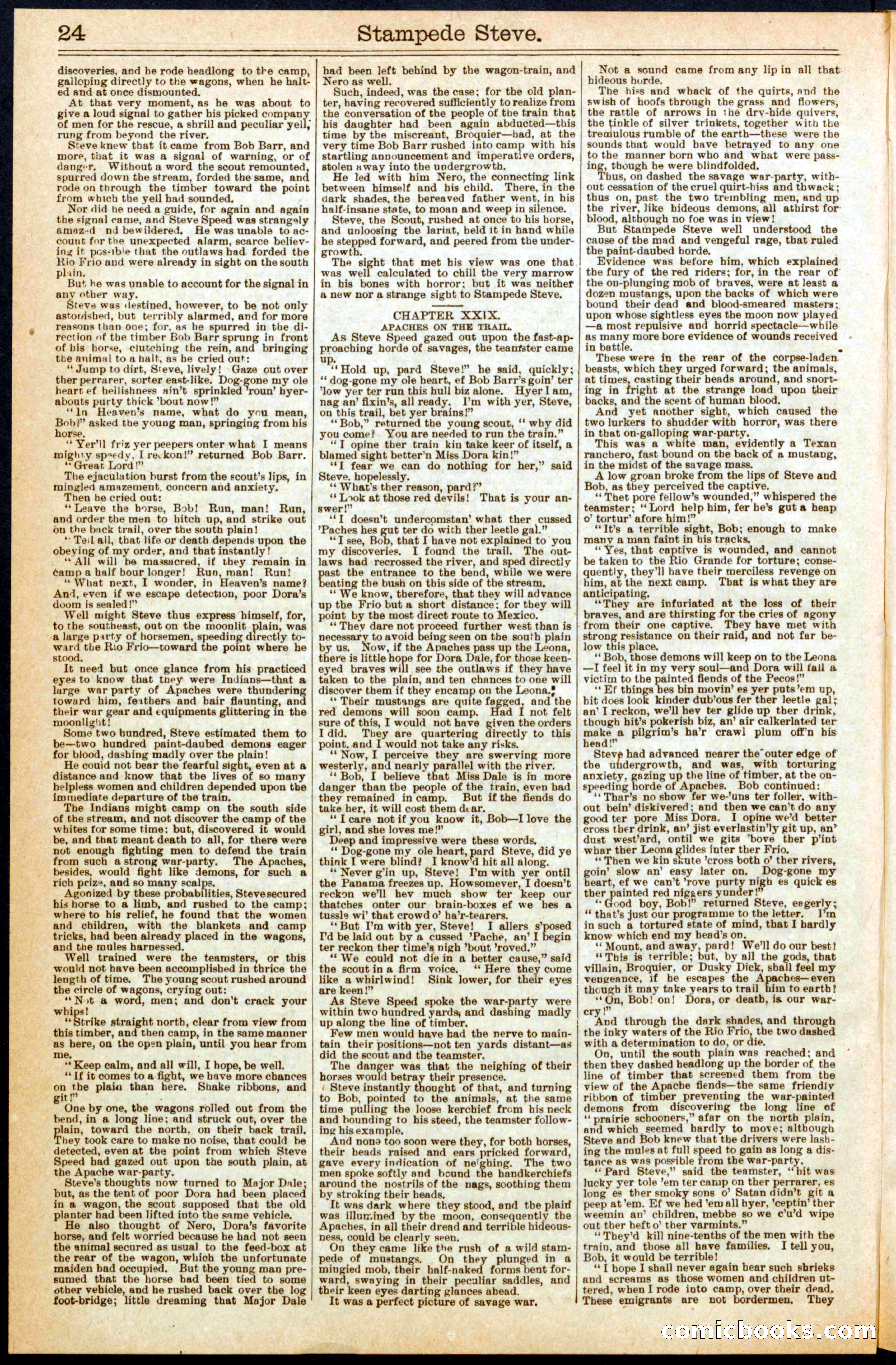 Beadle's New York Dime Library No. 293 — page 24 of 32