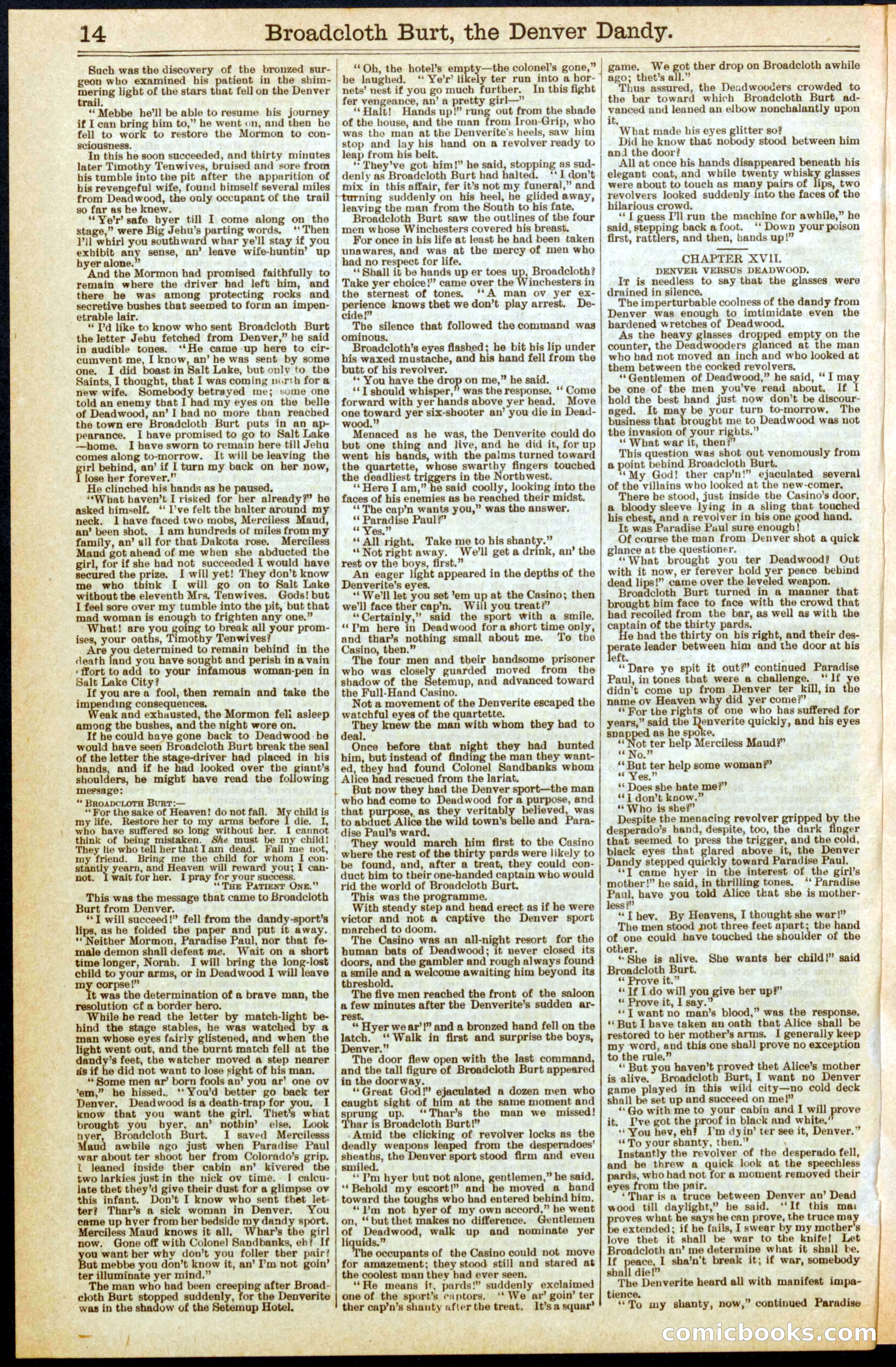 Beadle's New York Dime Library No. 294 — page 14 of 32