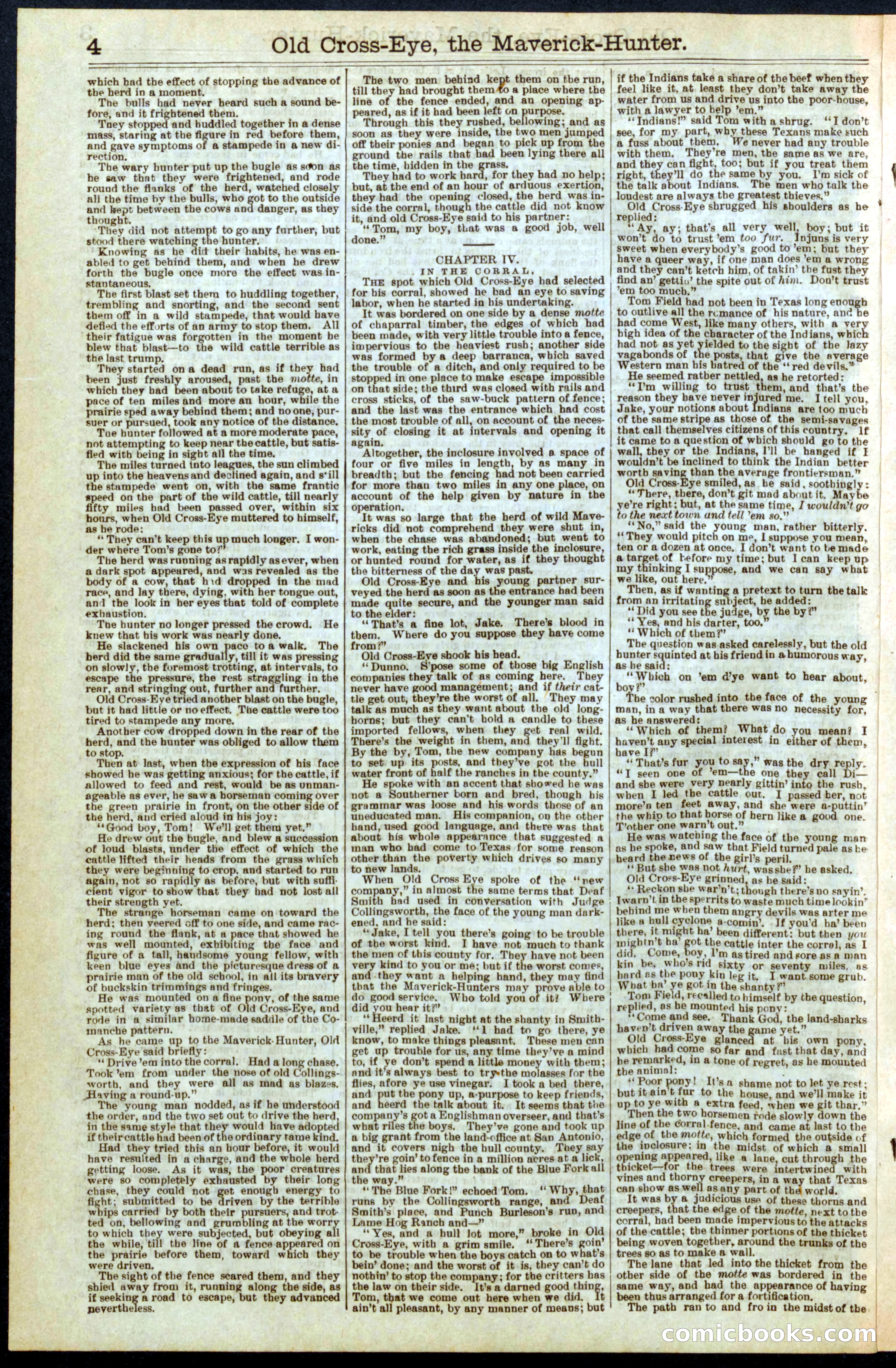 Beadle's New York Dime Library, No. 295 — page 4 of 32