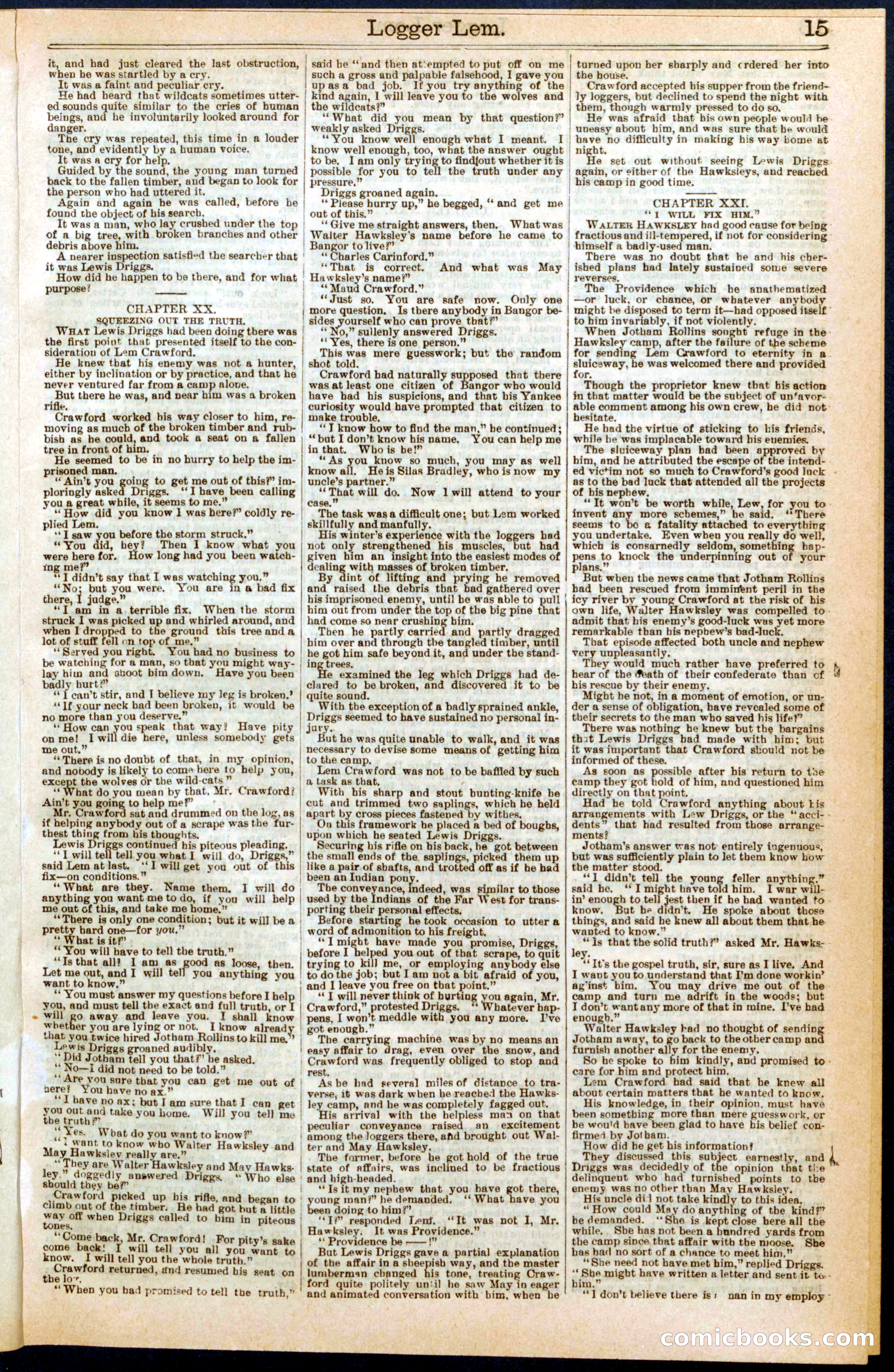 Beadle's New York Dime Library No. 298 — page 15 of 24