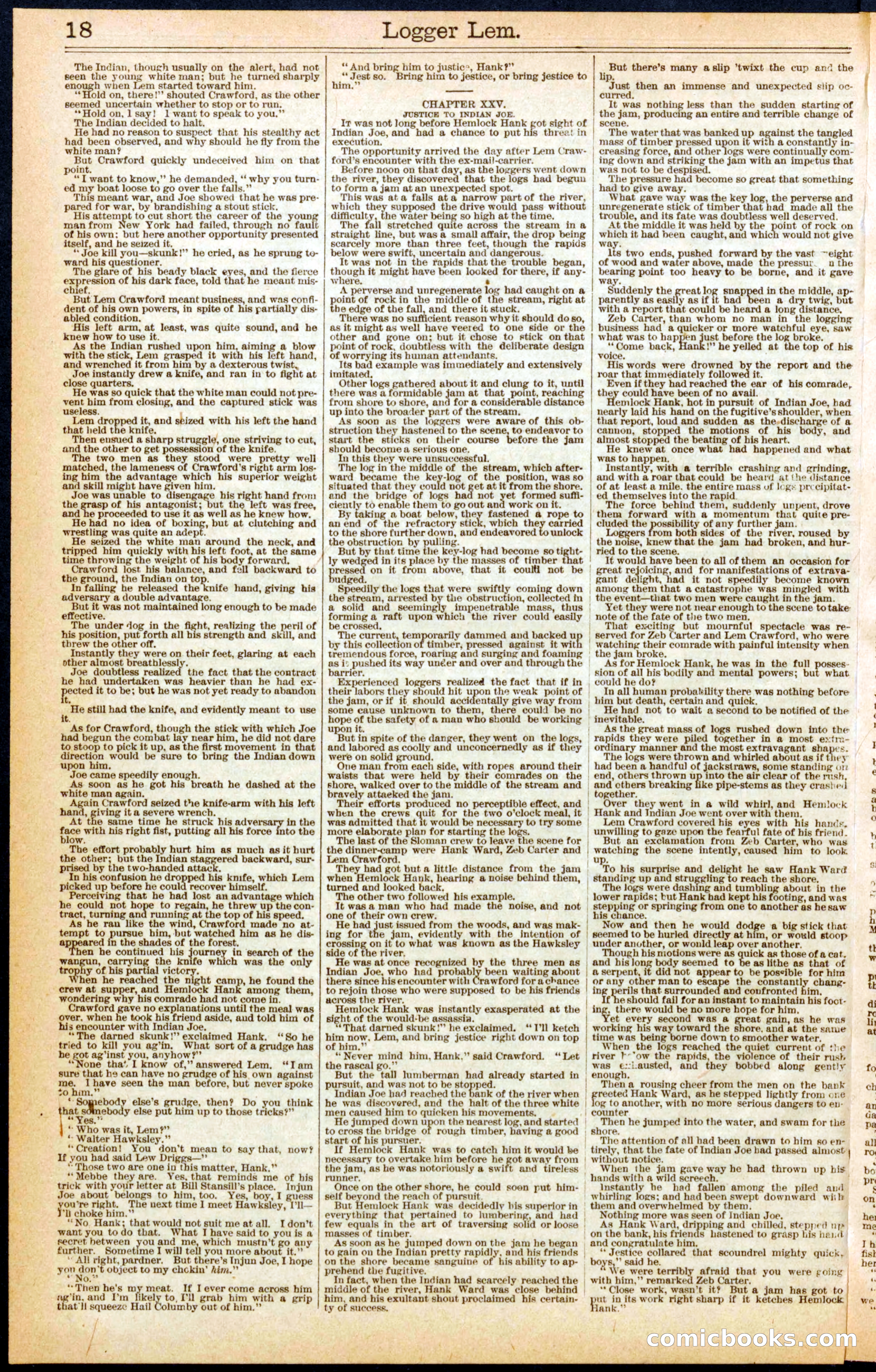 Beadle's New York Dime Library No. 298 — page 18 of 24