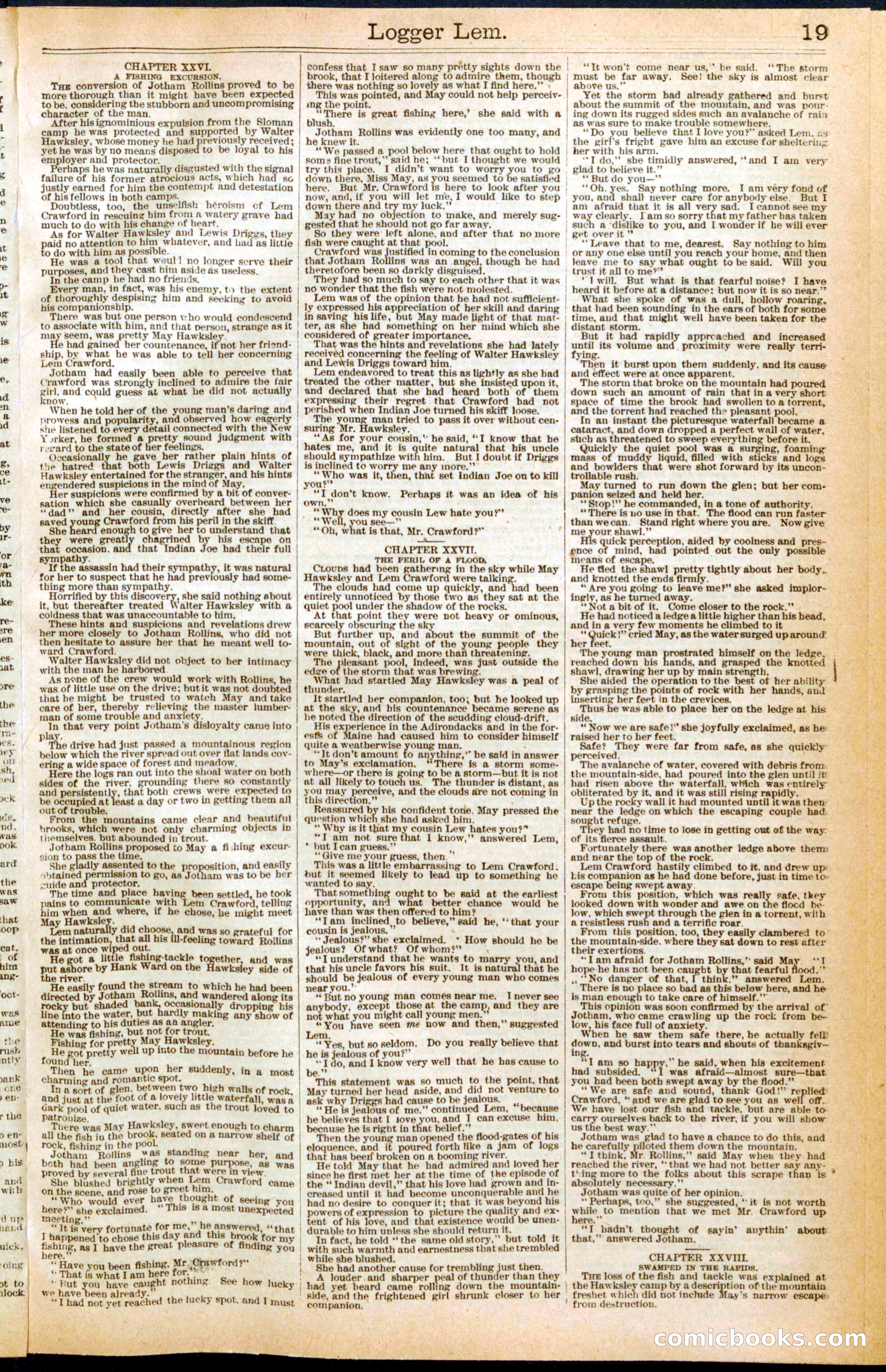 Beadle's New York Dime Library No. 298 — page 19 of 24
