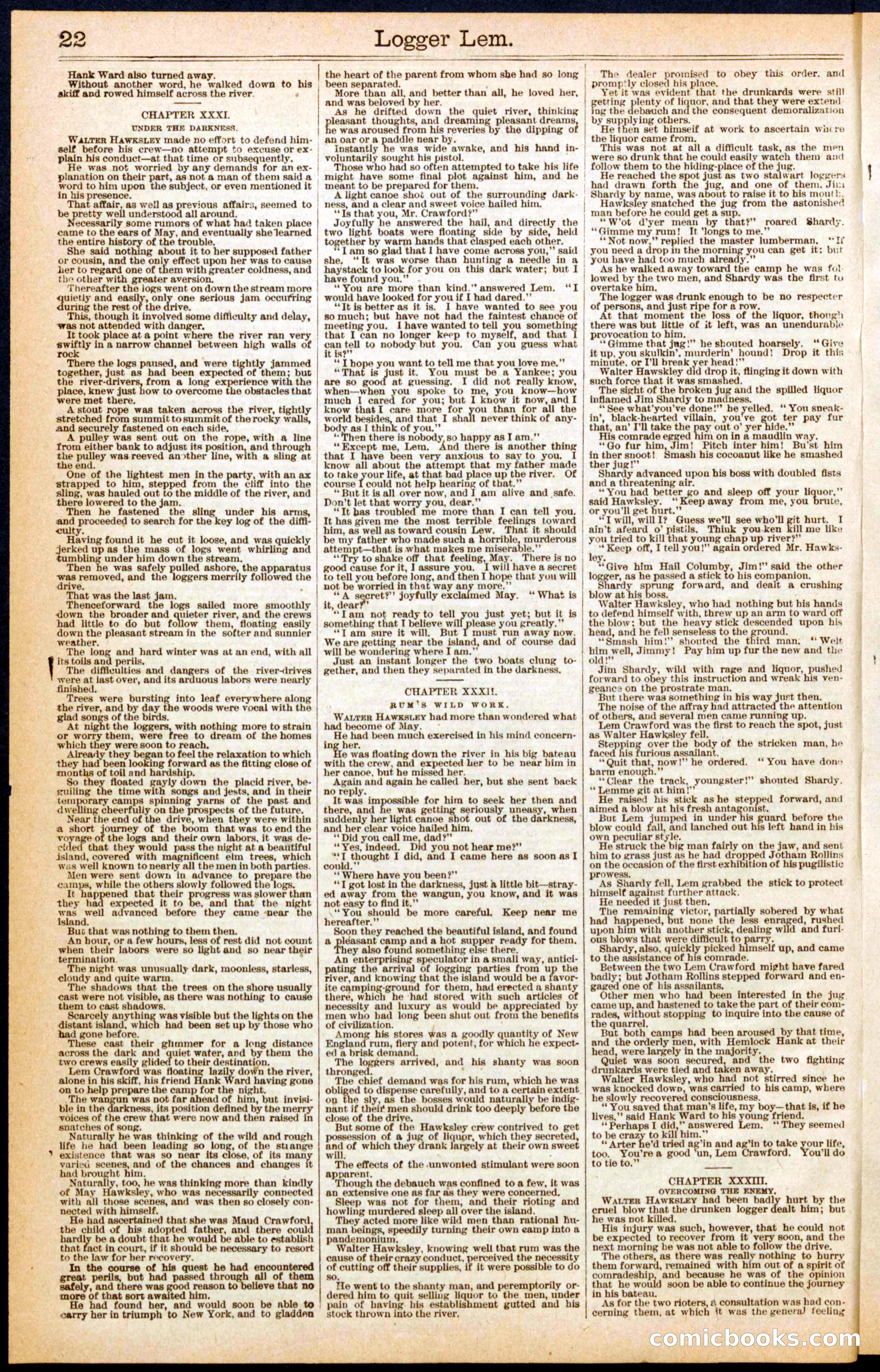 Beadle's New York Dime Library No. 298 — page 22 of 24