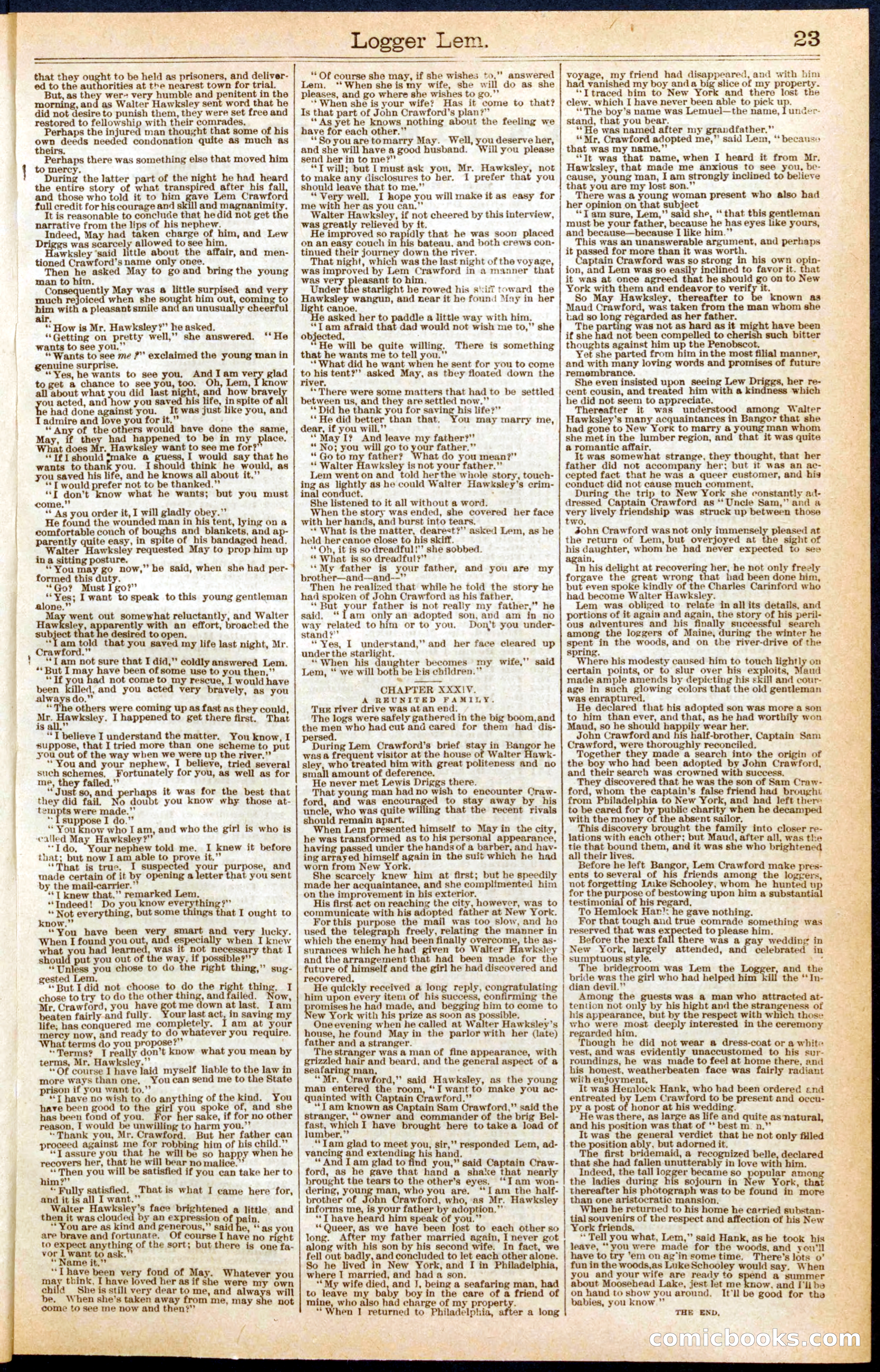 Beadle's New York Dime Library No. 298 — page 23 of 24
