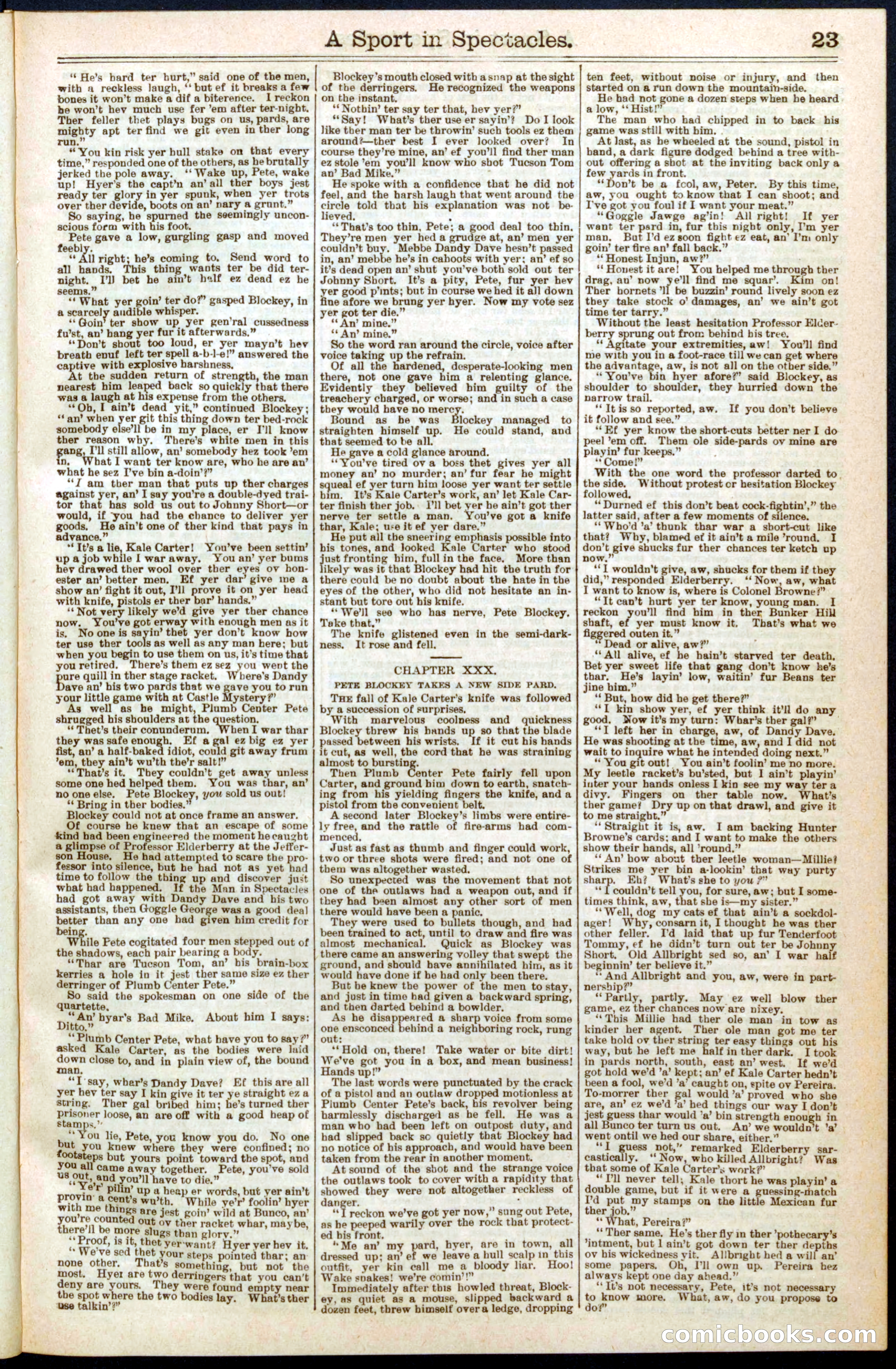 Beadle's New York Dime Library No. 300 — page 23 of 32