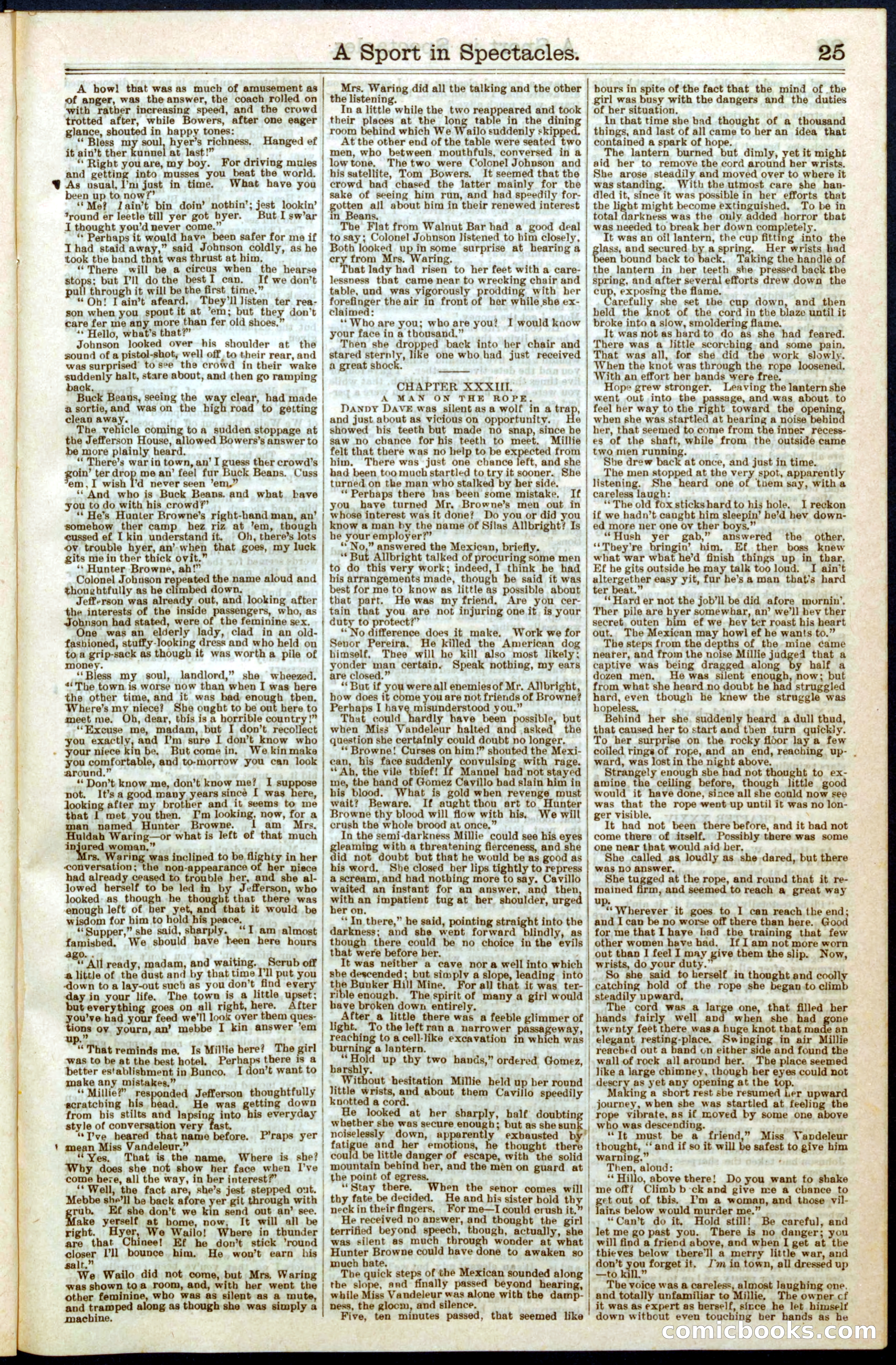 Beadle's New York Dime Library No. 300 — page 25 of 32