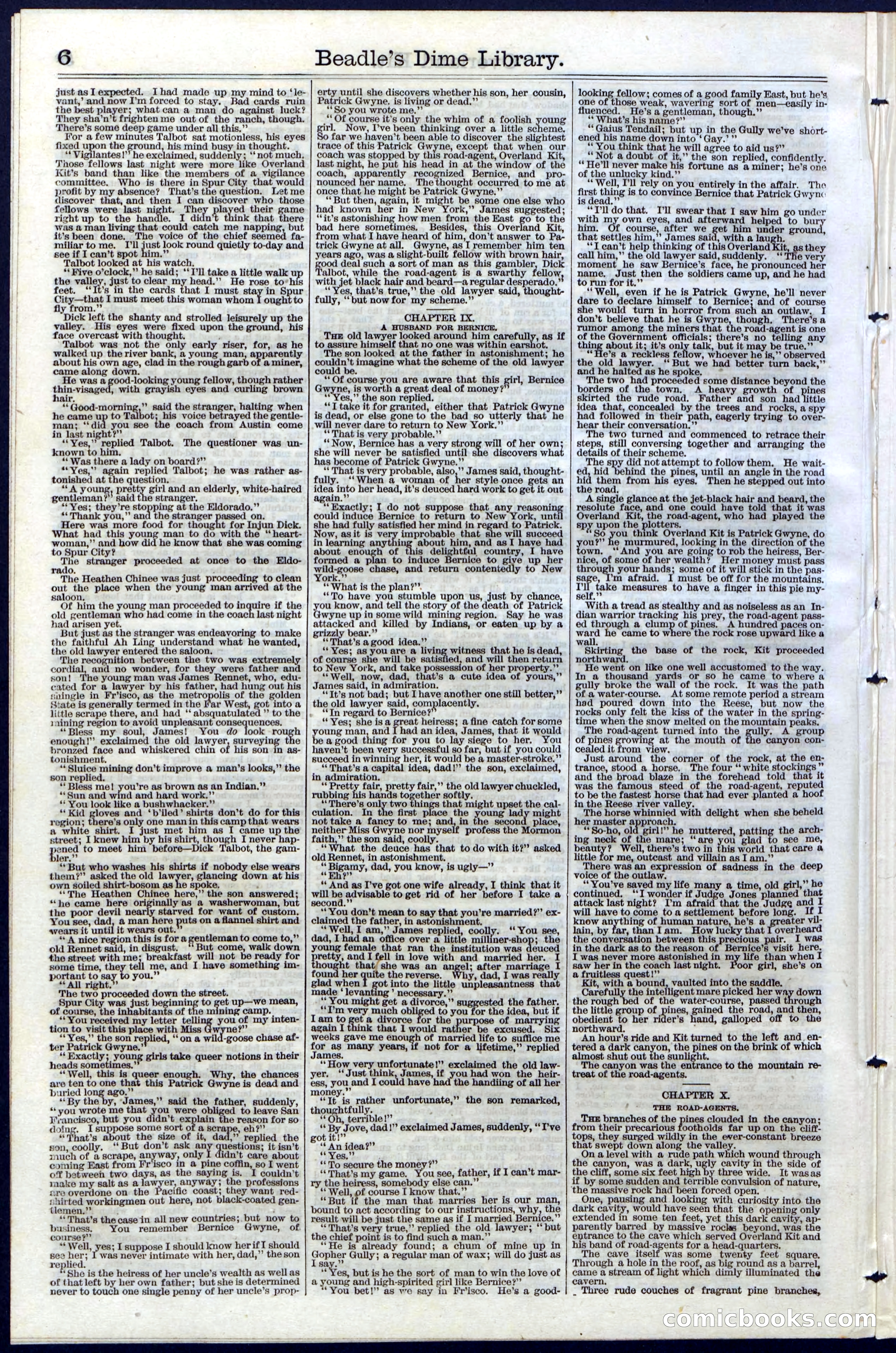 Beadle's Dime Library, Vol. III, No. 33 — page 6 of 24