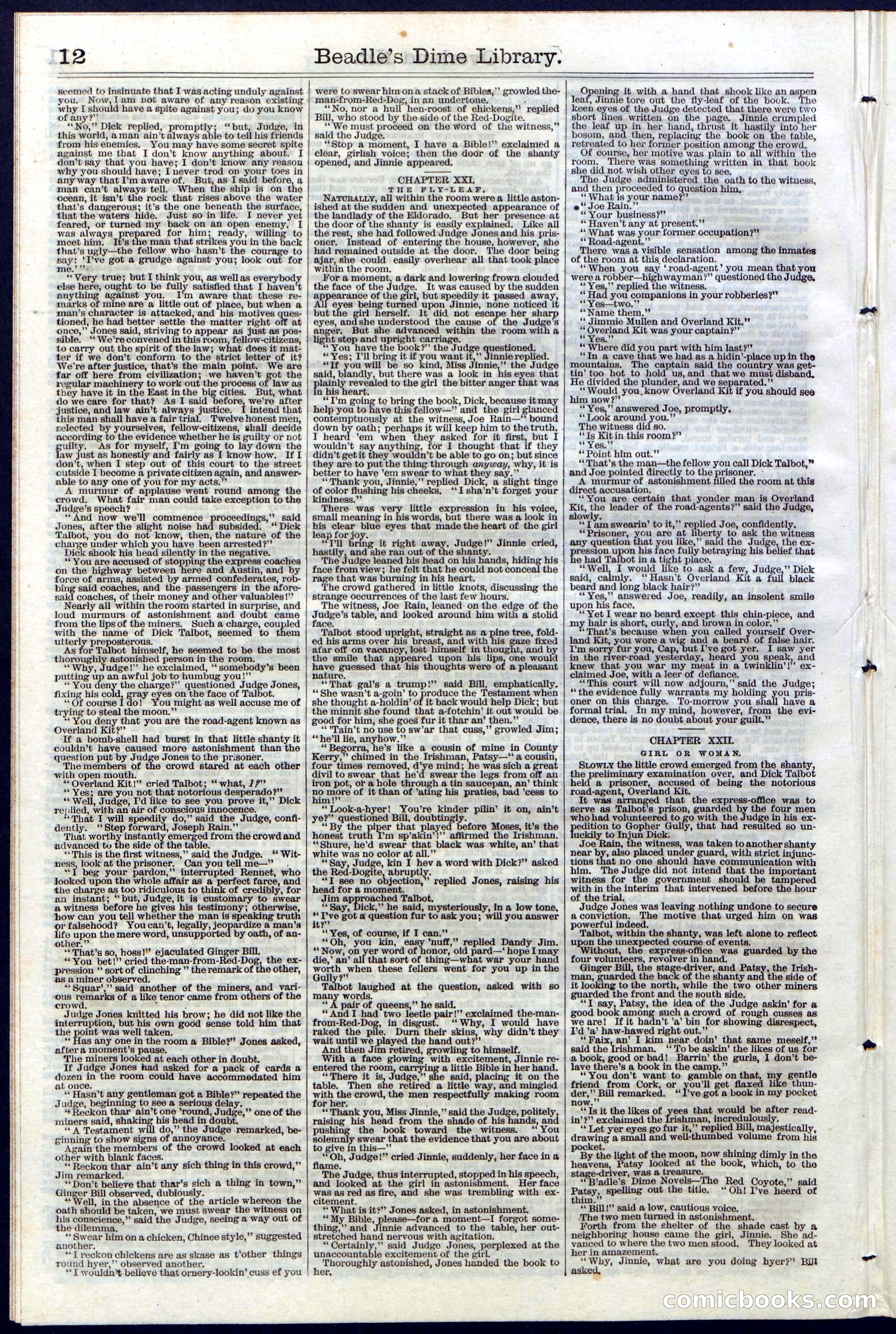 Beadle's Dime Library, Vol. III, No. 33 — page 12 of 24