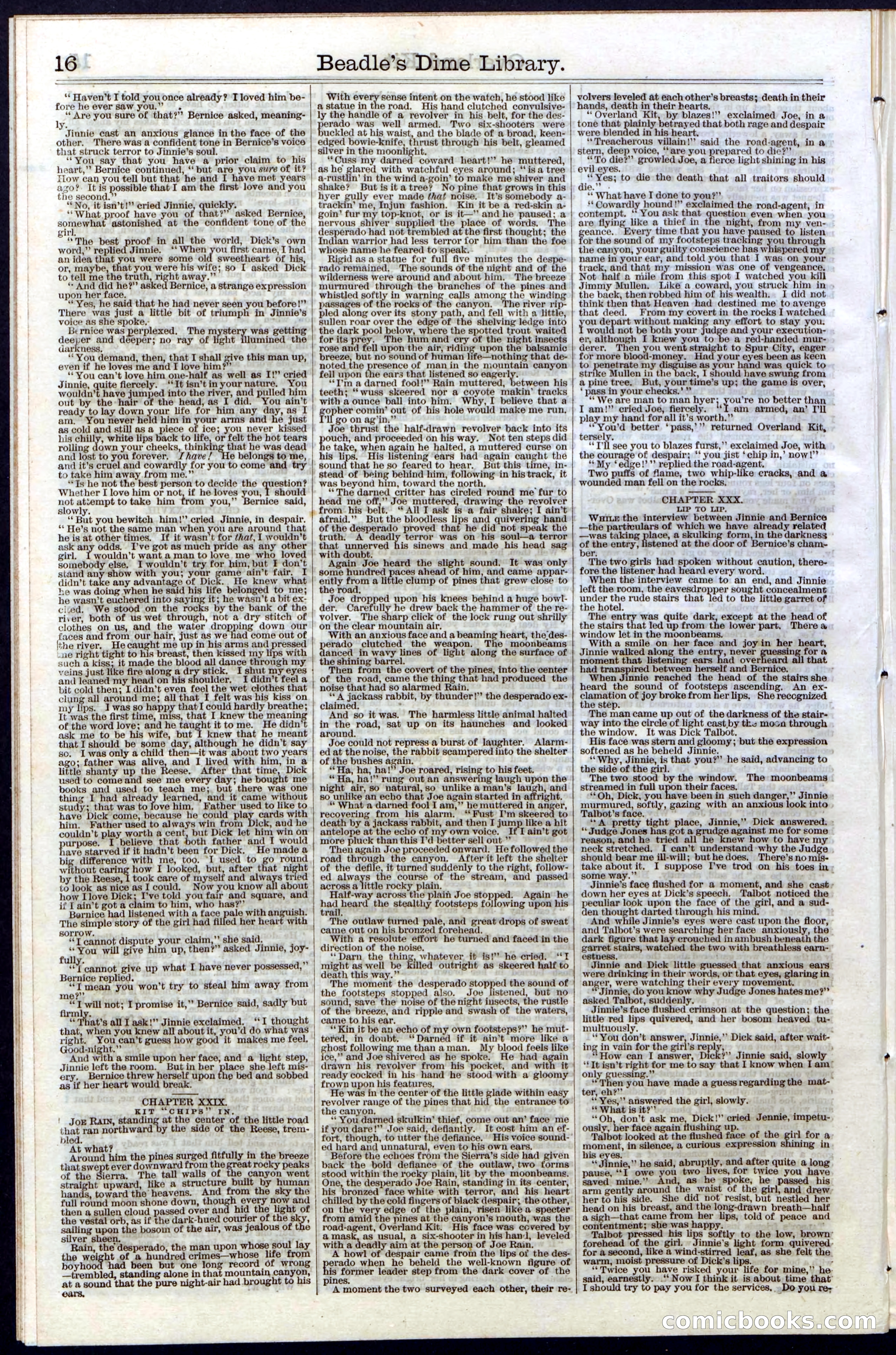 Beadle's Dime Library, Vol. III, No. 33 — page 16 of 24