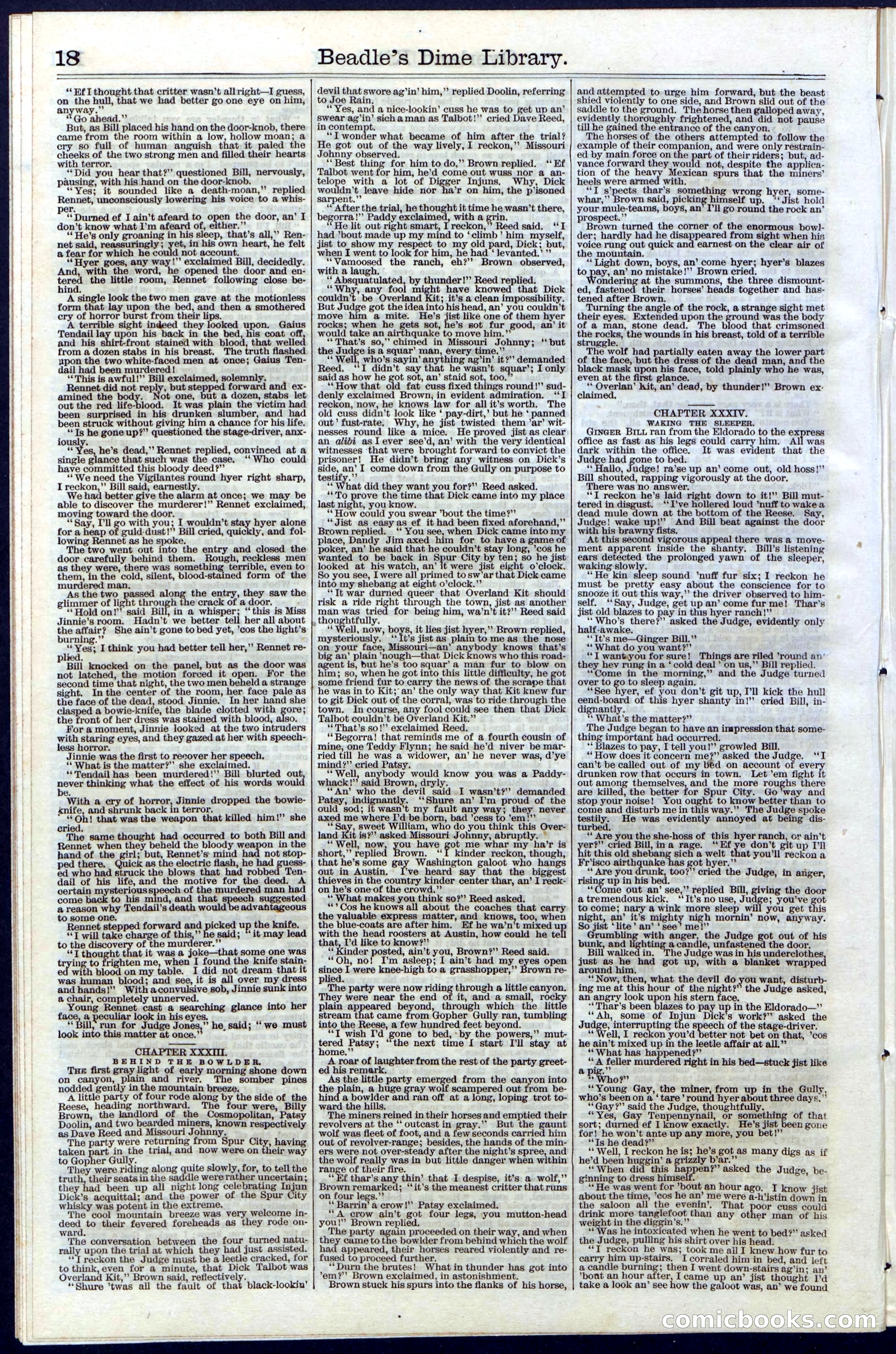 Beadle's Dime Library, Vol. III, No. 33 — page 18 of 24