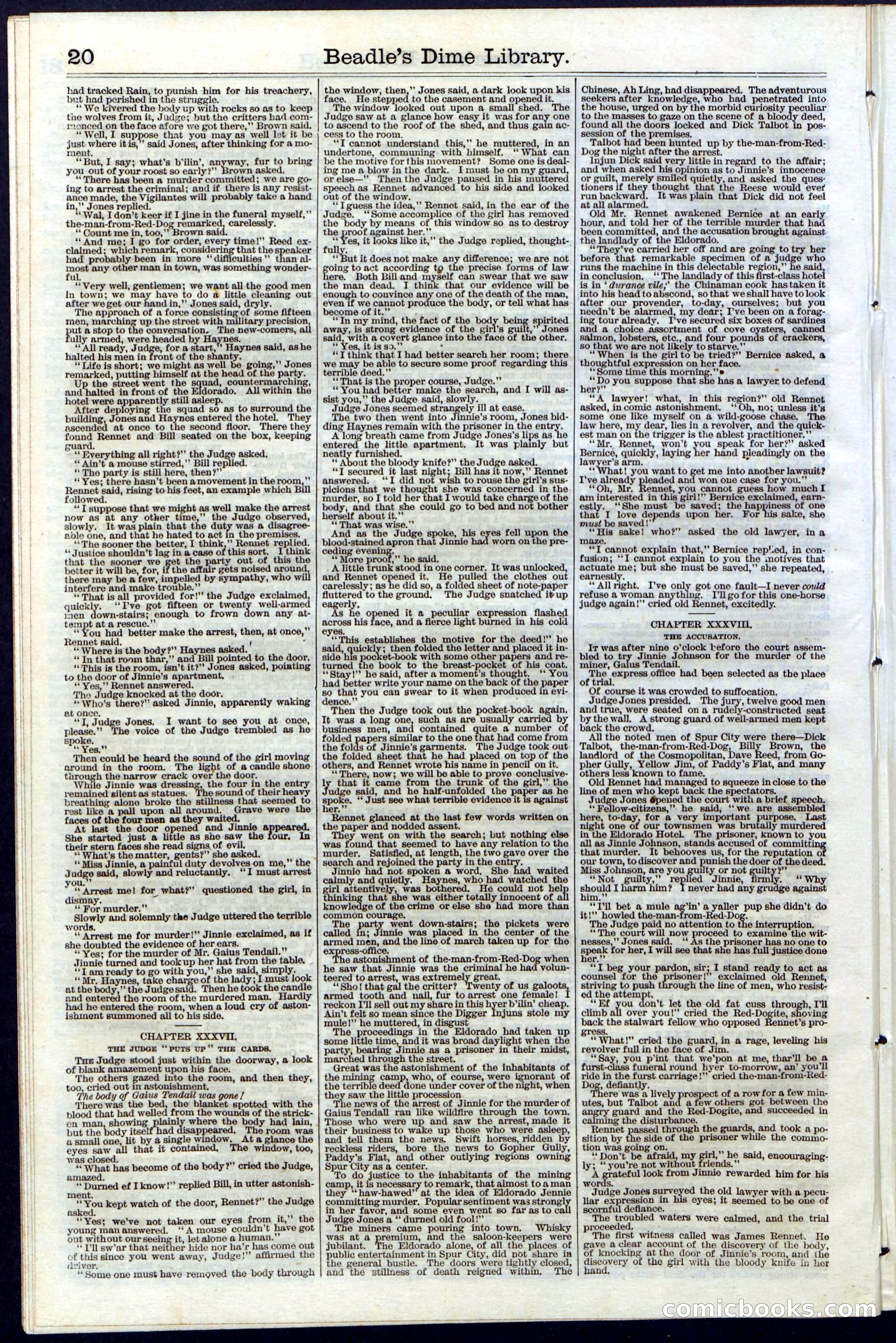 Beadle's Dime Library, Vol. III, No. 33 — page 20 of 24