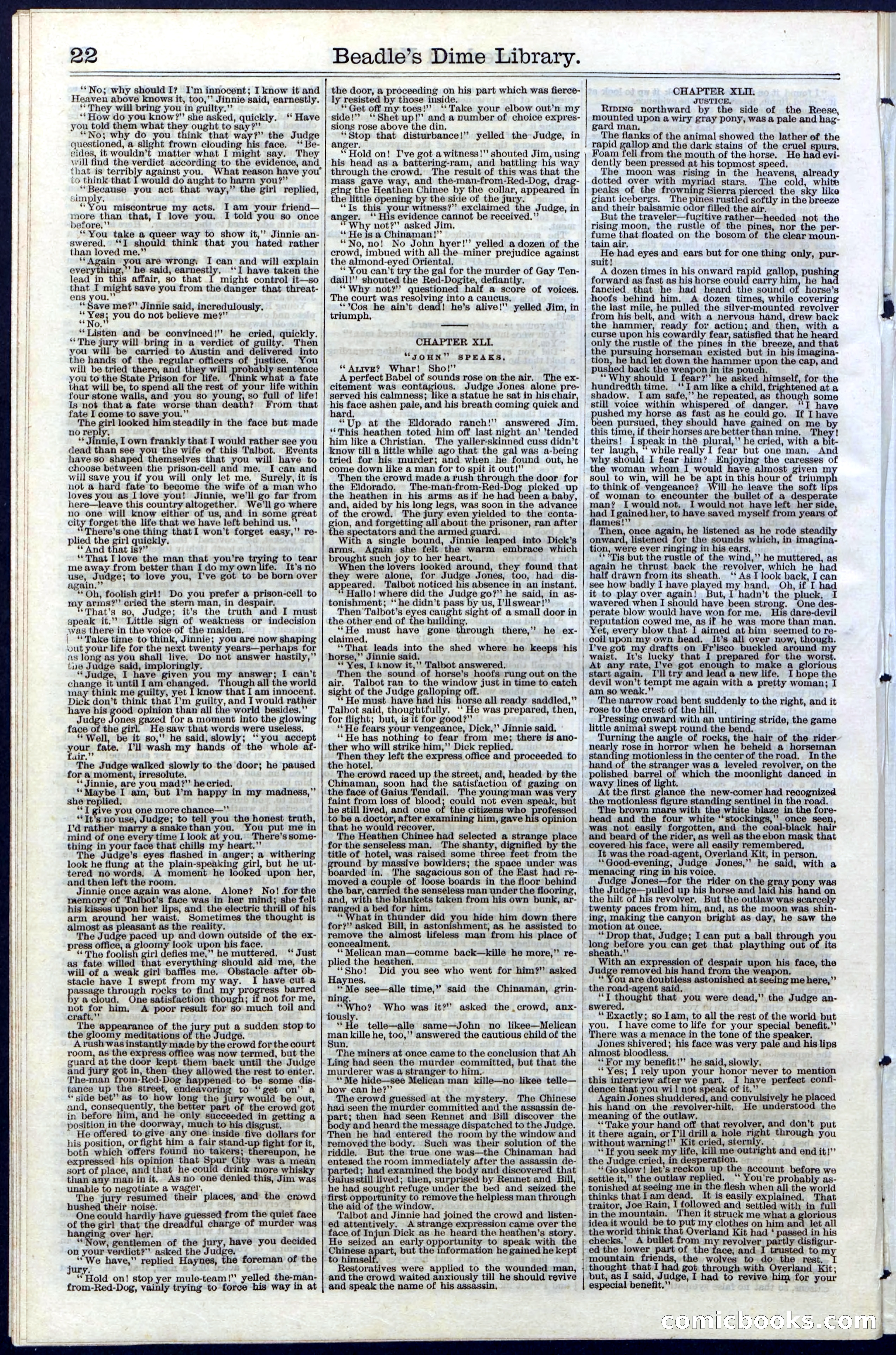 Beadle's Dime Library, Vol. III, No. 33 — page 22 of 24
