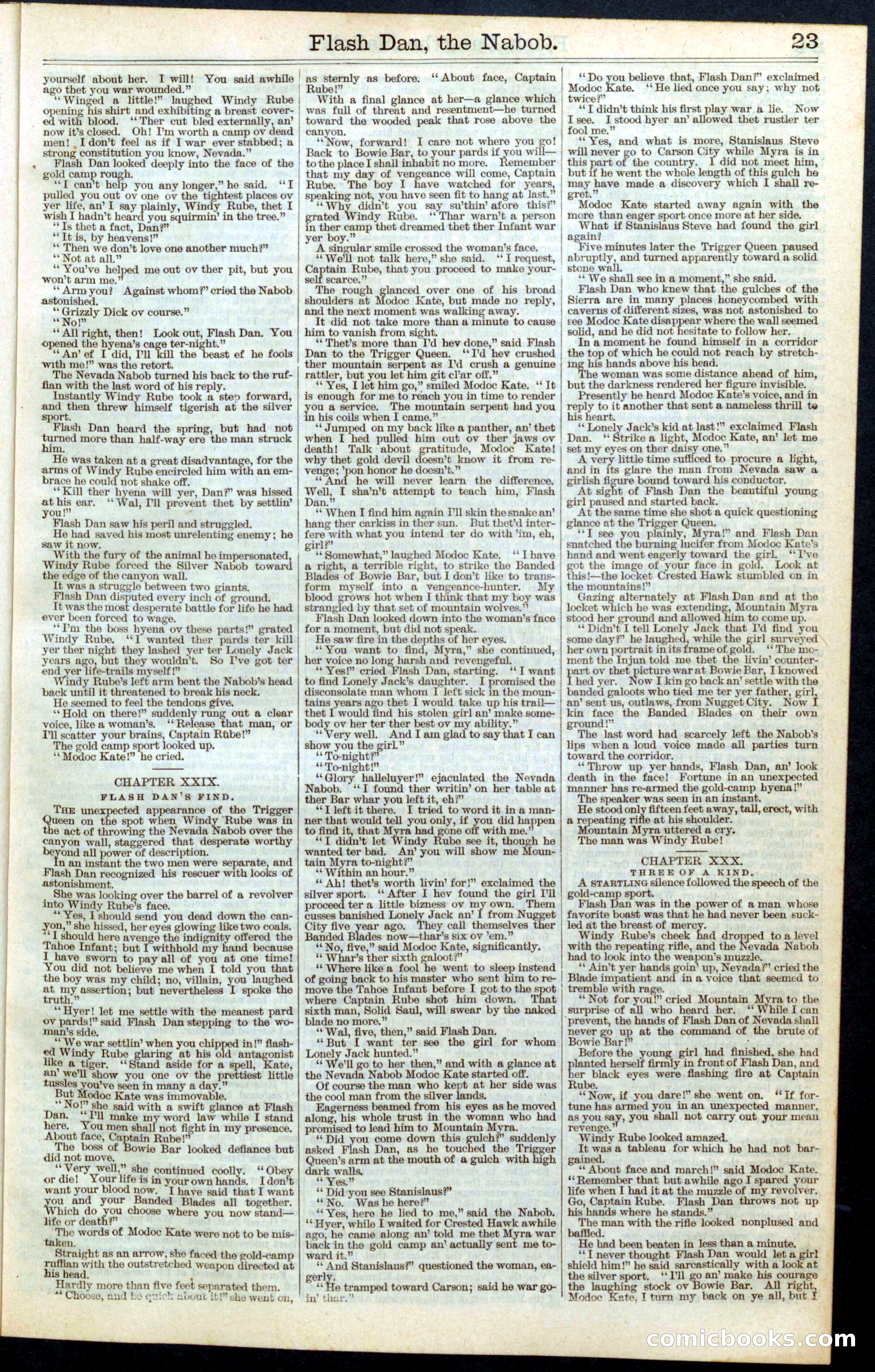 Beadle's Dime Library No. 335 — page 23 of 32