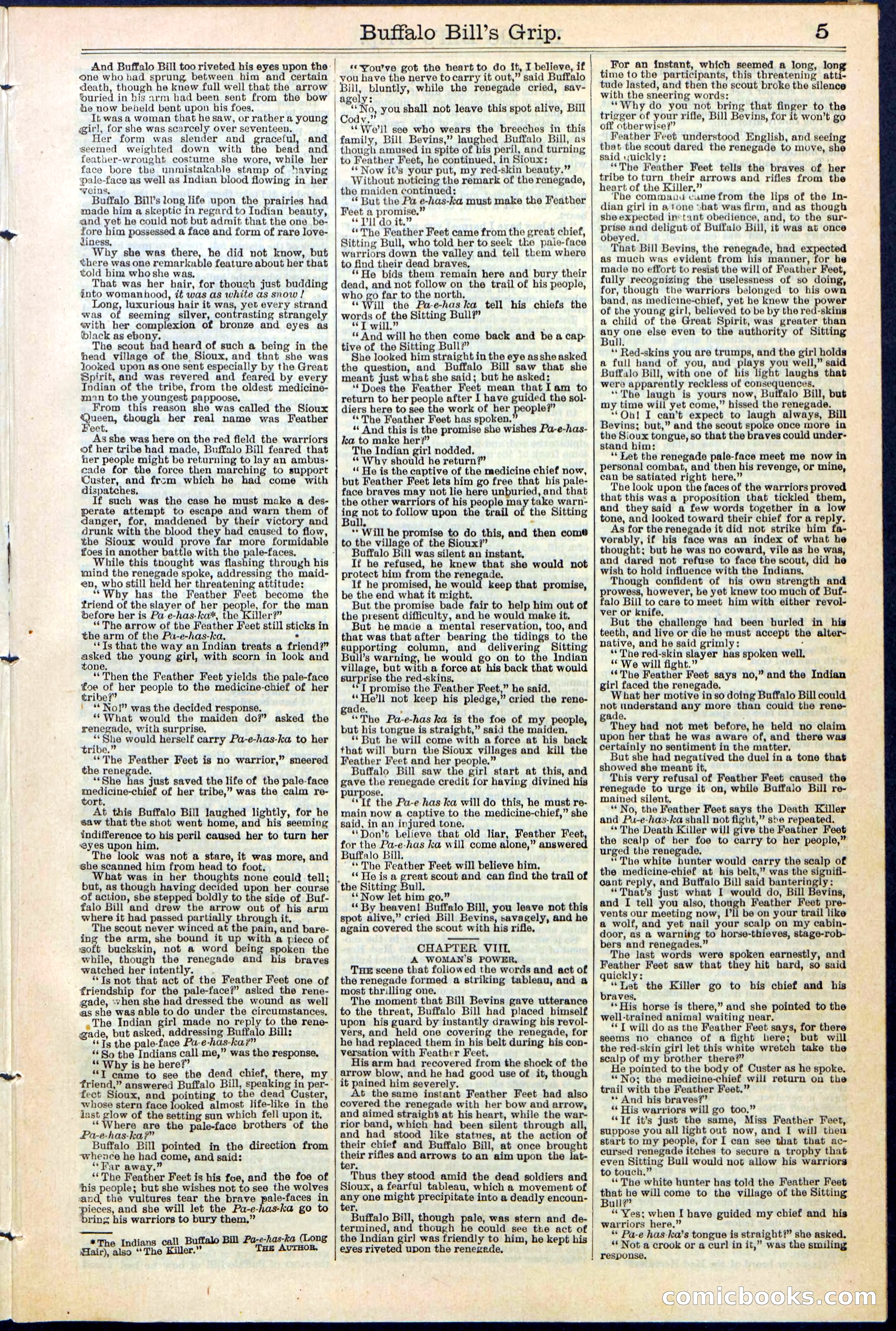 Beadle's Dime Library No. 362 — page 5 of 24