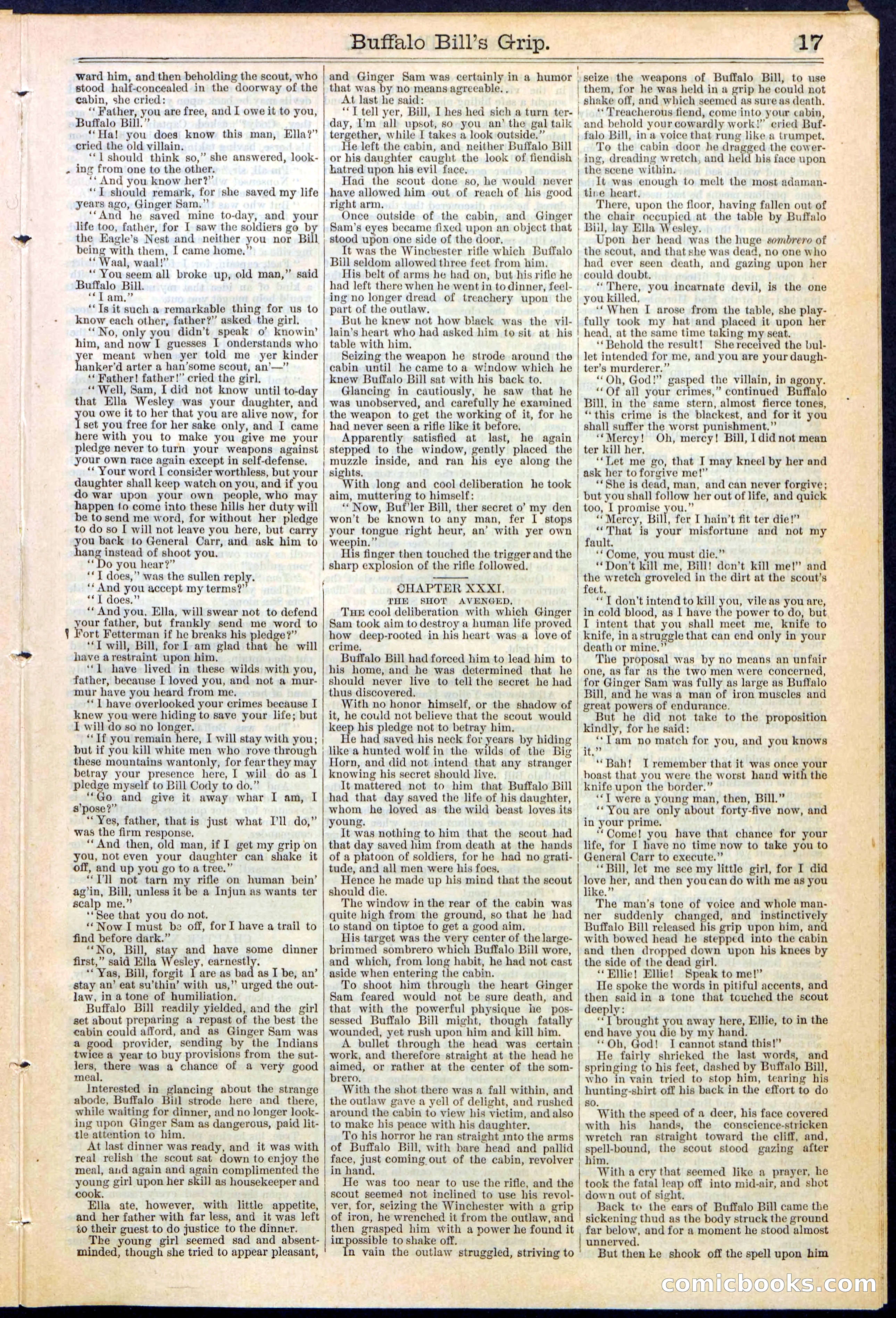 Beadle's Dime Library No. 362 — page 17 of 24
