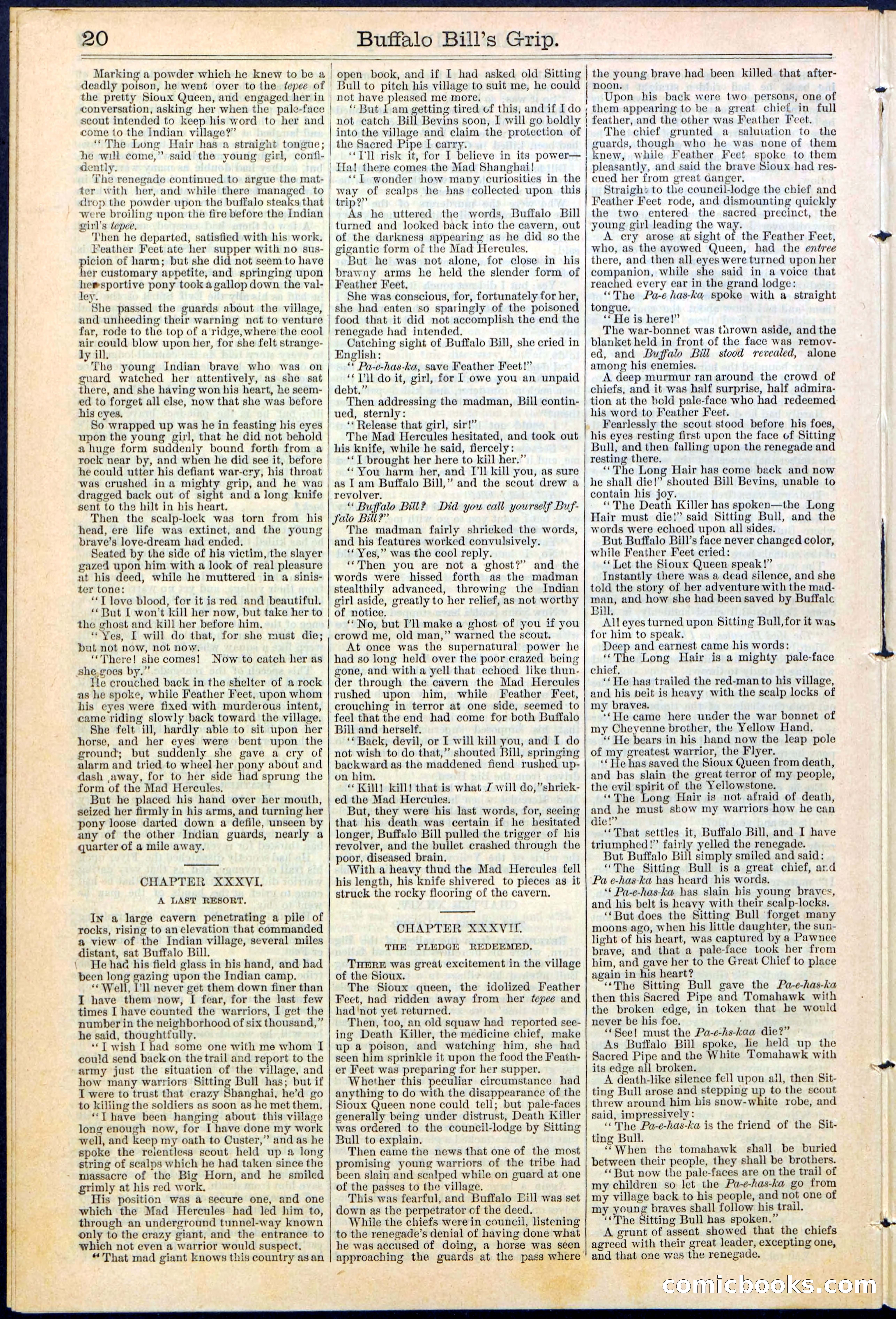 Beadle's Dime Library No. 362 — page 20 of 24