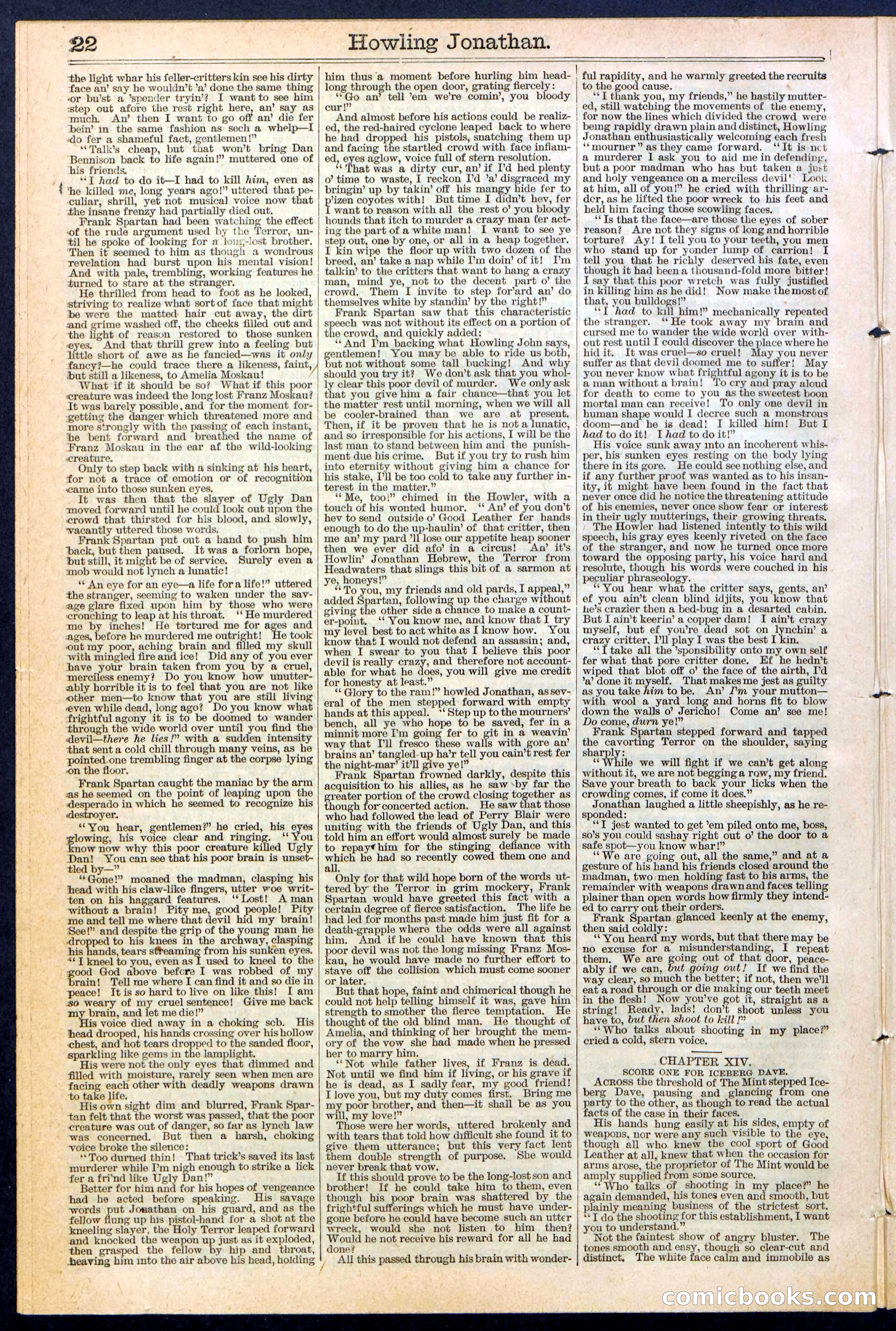 Beadle's New York Dime Library No. 379 — page 22 of 32