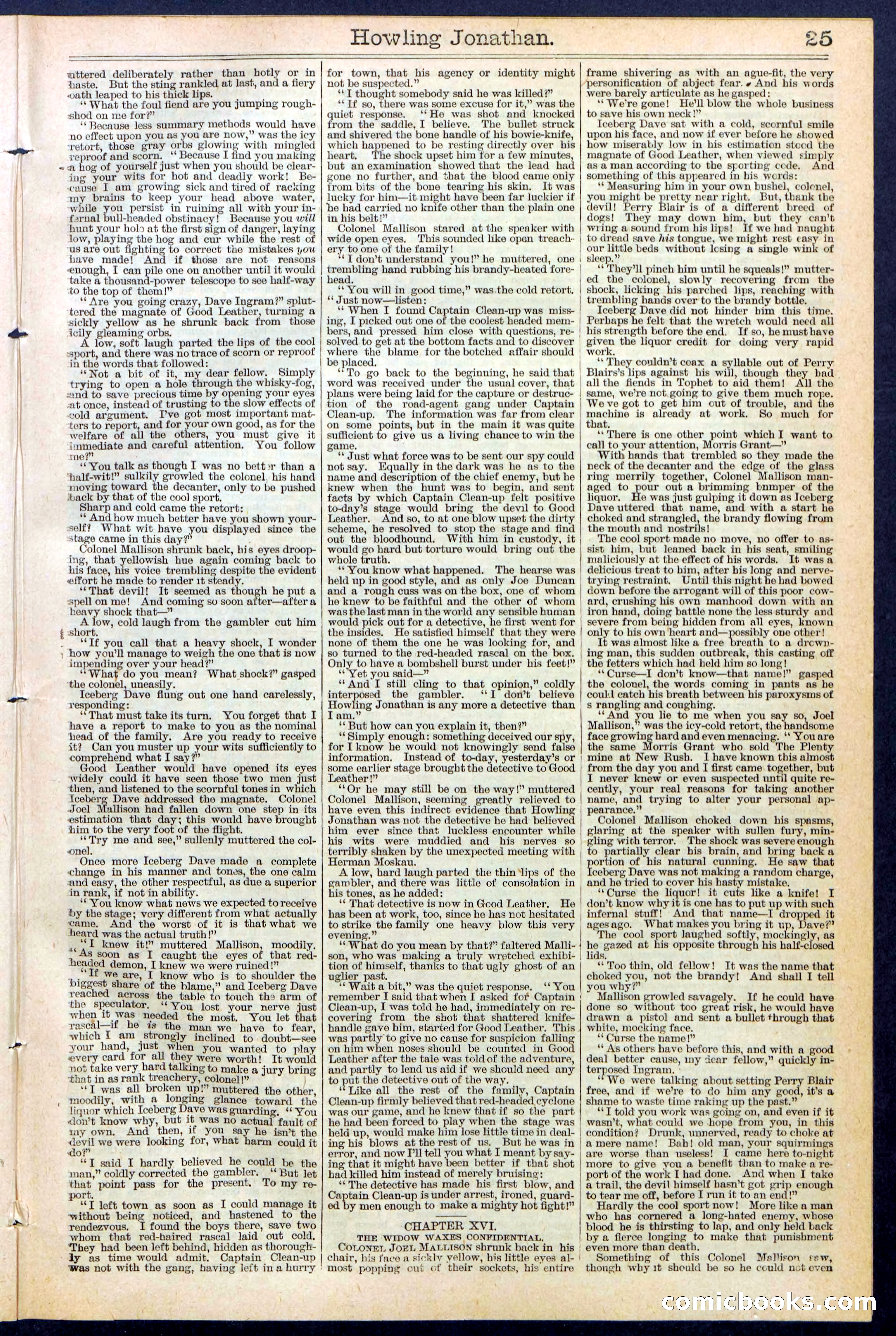 Beadle's New York Dime Library No. 379 — page 25 of 32