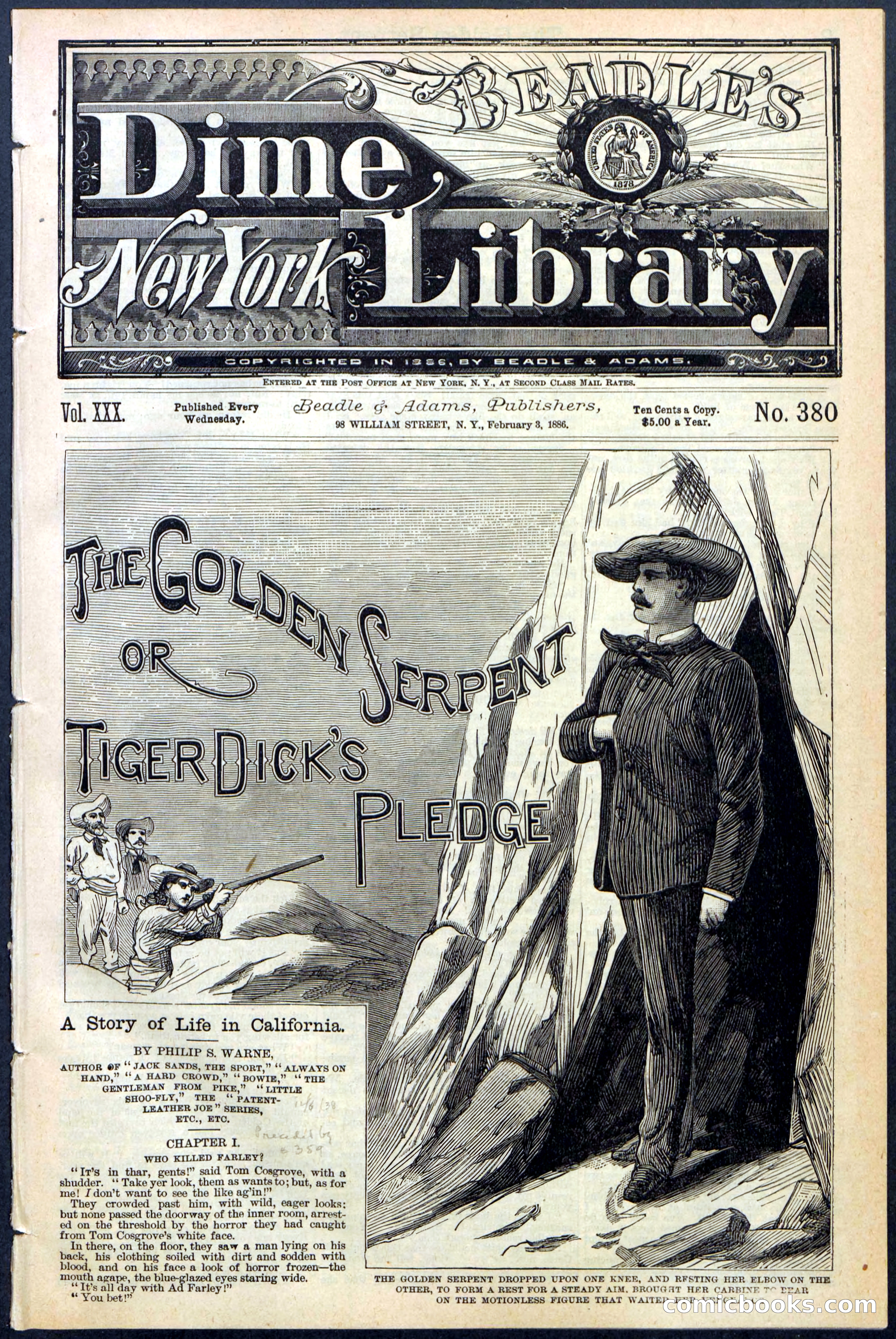 Beadle's New York Dime Library No. 380 — page 1 of 32
