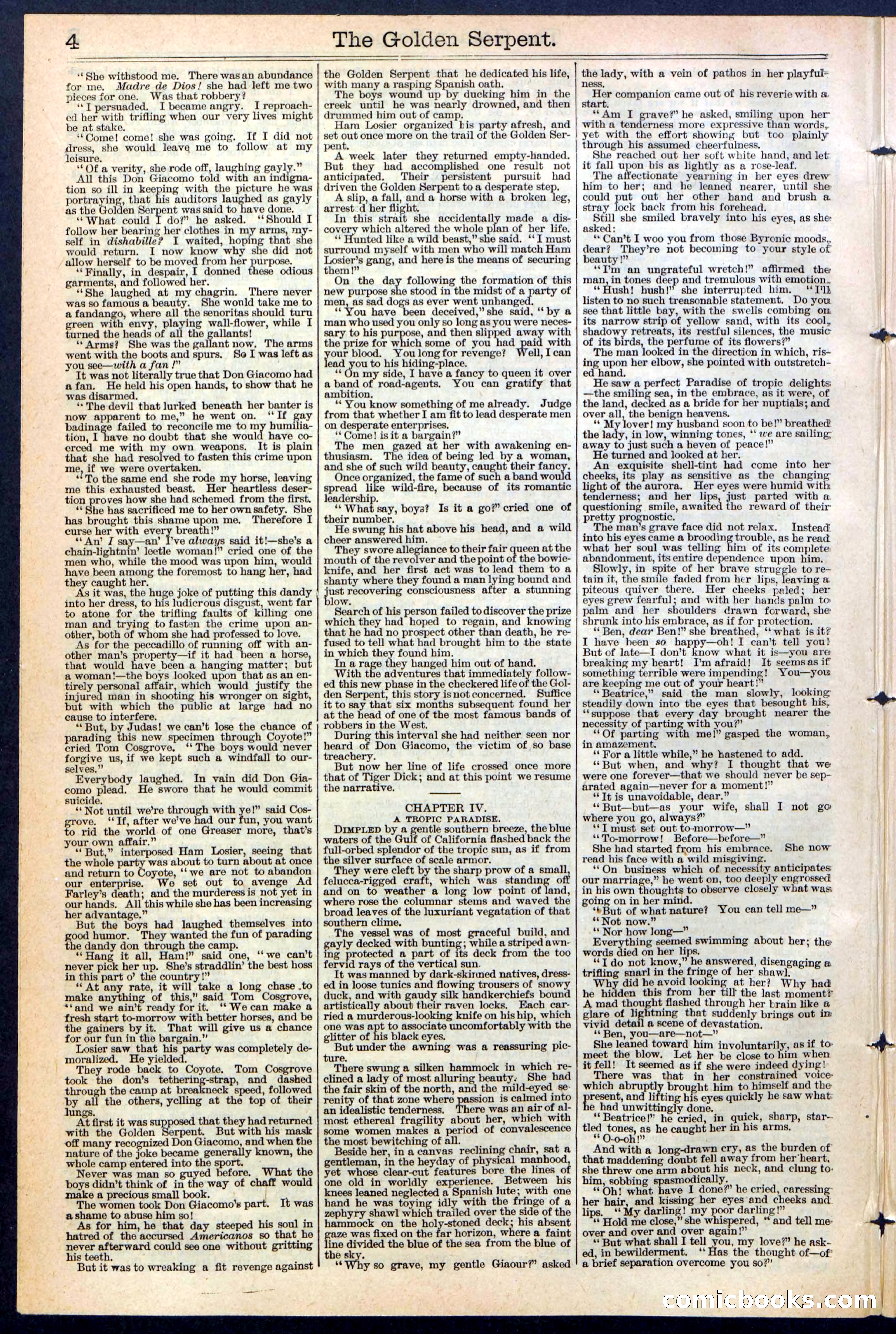 Beadle's New York Dime Library No. 380 — page 4 of 32