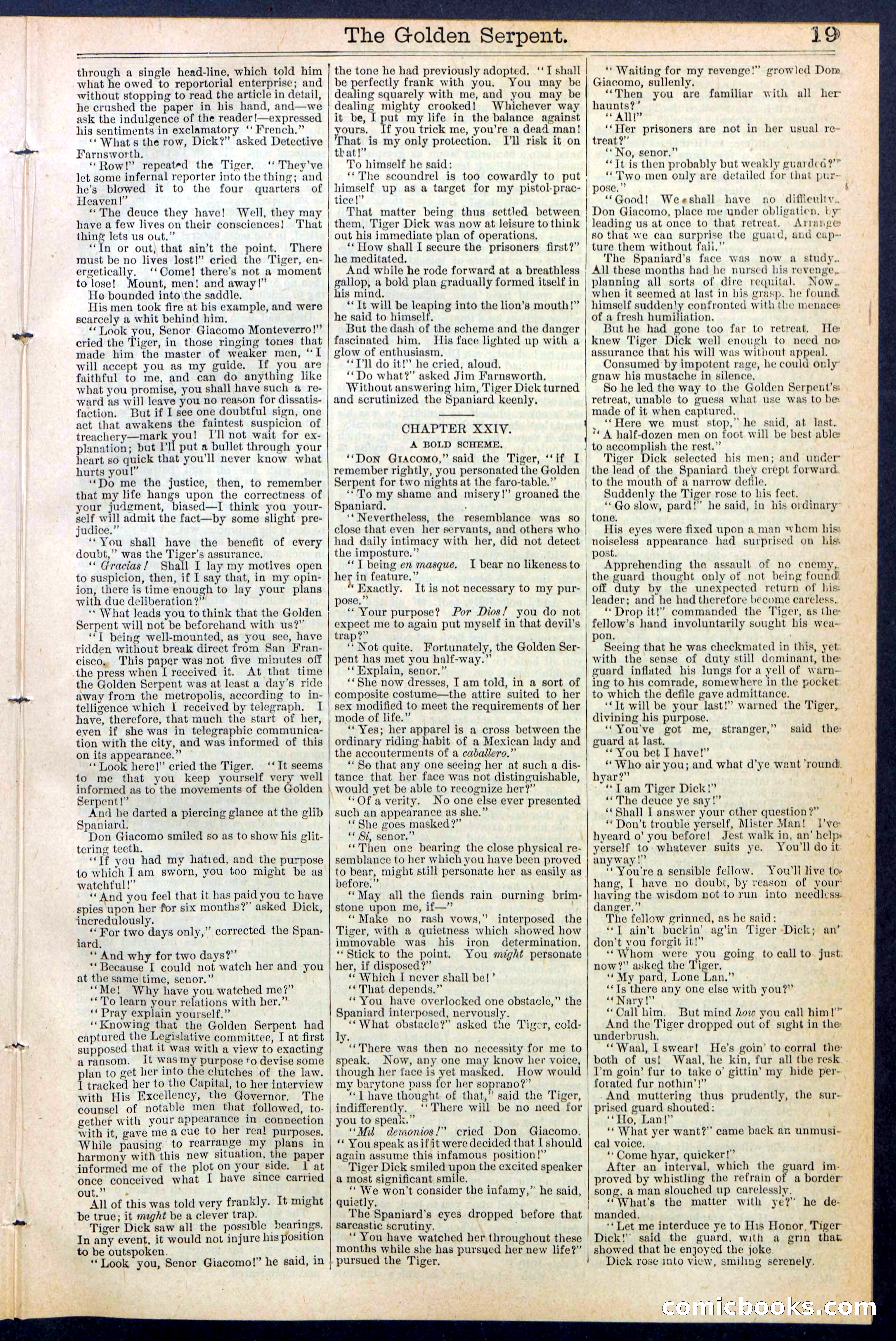 Beadle's New York Dime Library No. 380 — page 19 of 32