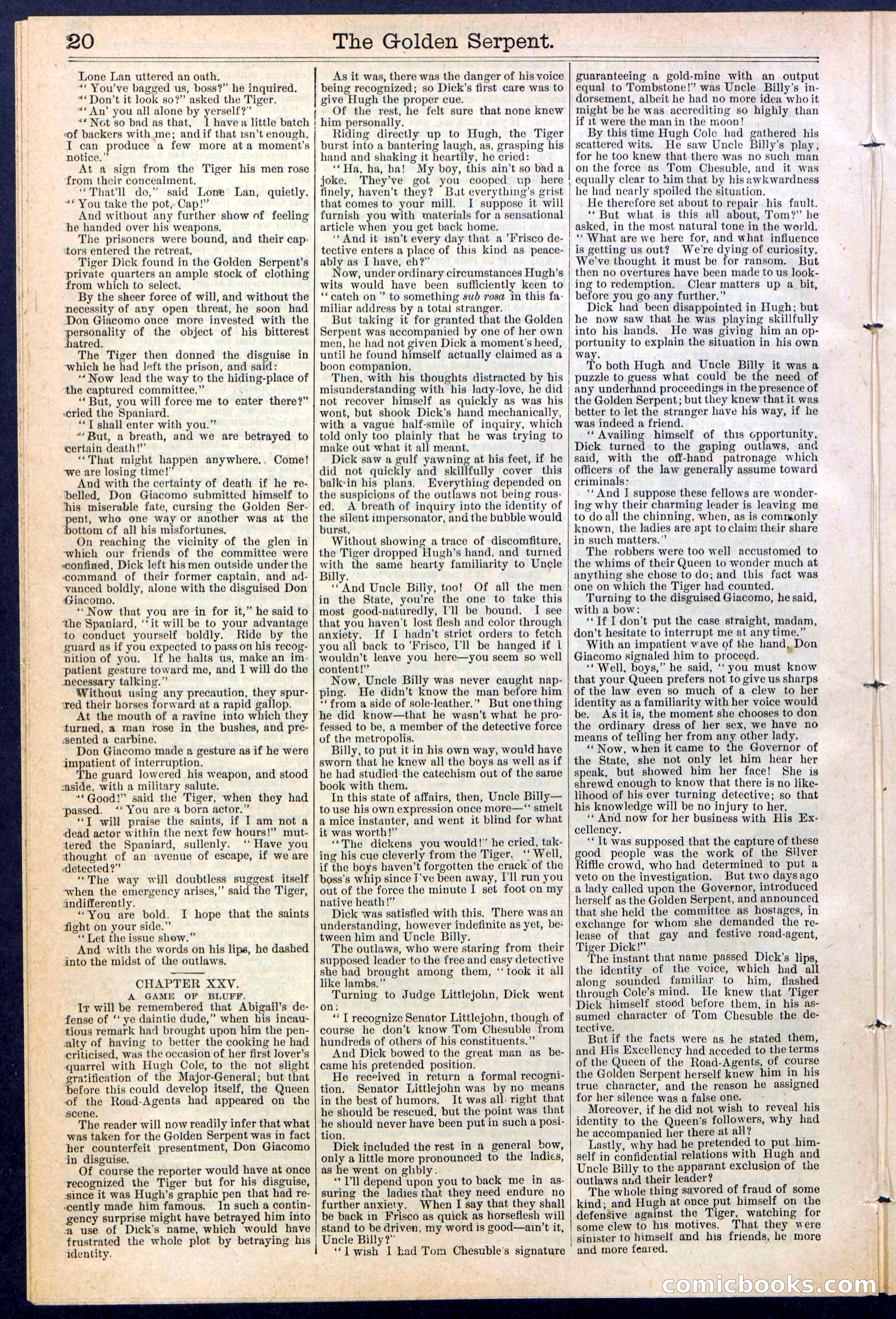 Beadle's New York Dime Library No. 380 — page 20 of 32