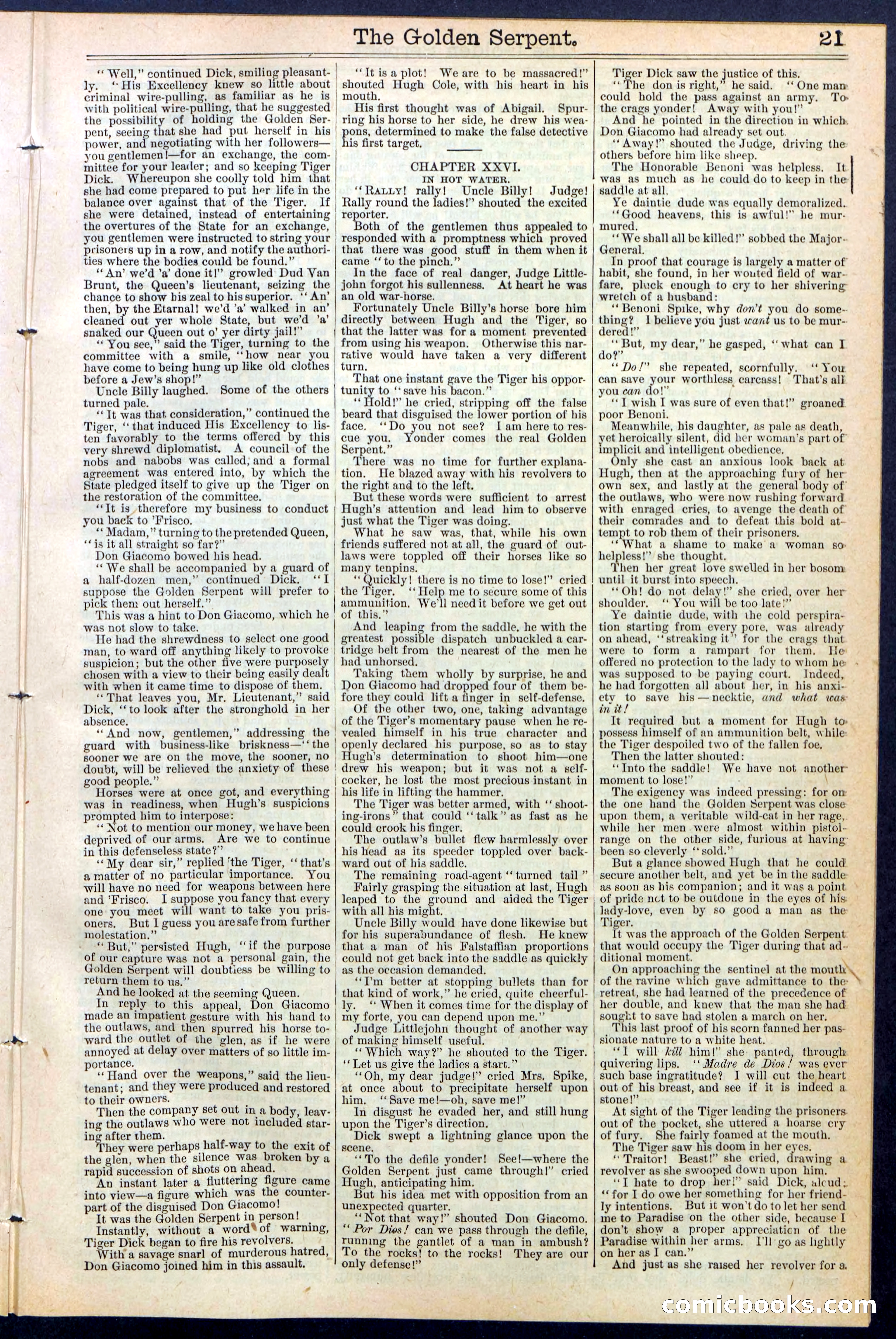 Beadle's New York Dime Library No. 380 — page 21 of 32