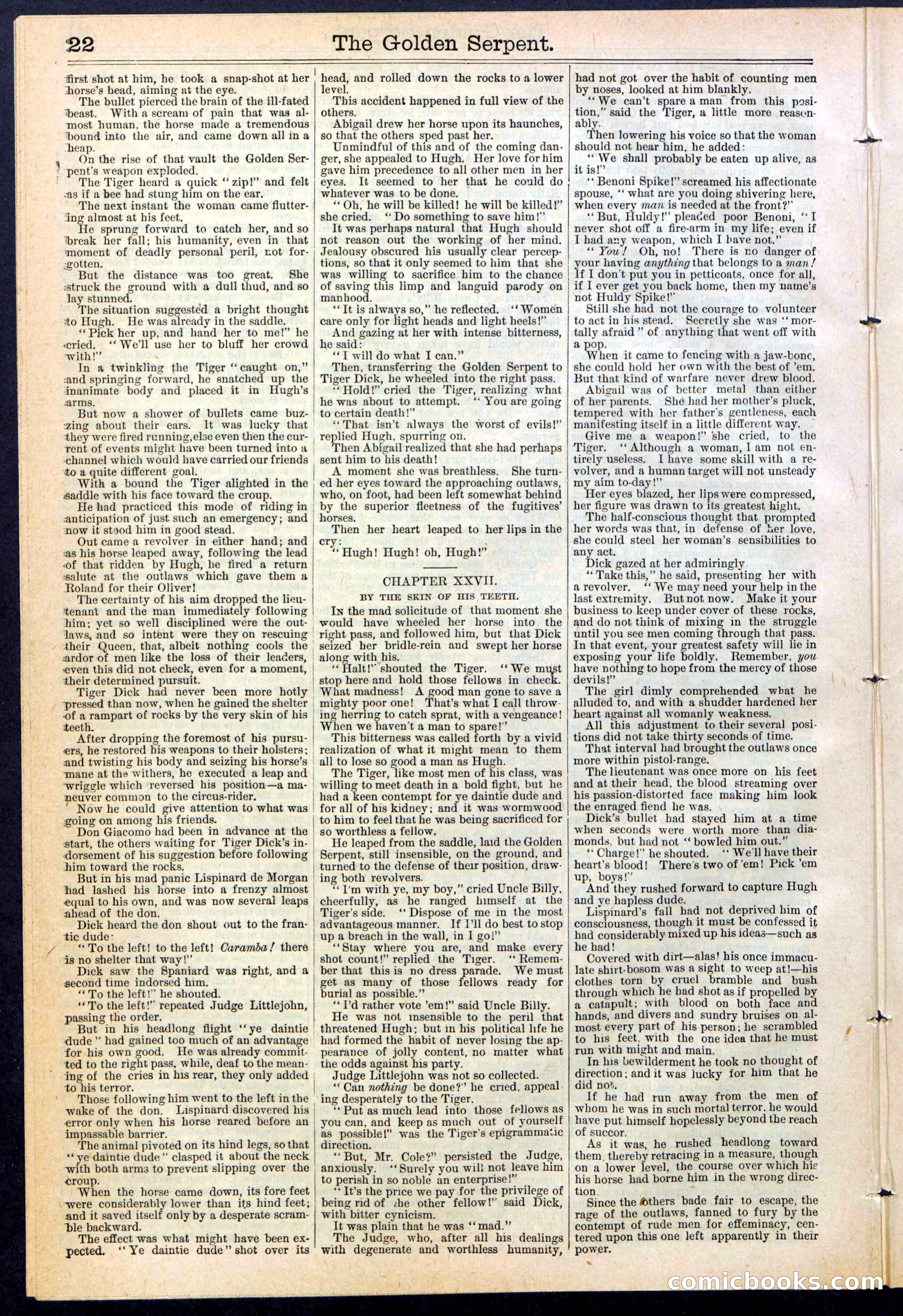 Beadle's New York Dime Library No. 380 — page 22 of 32