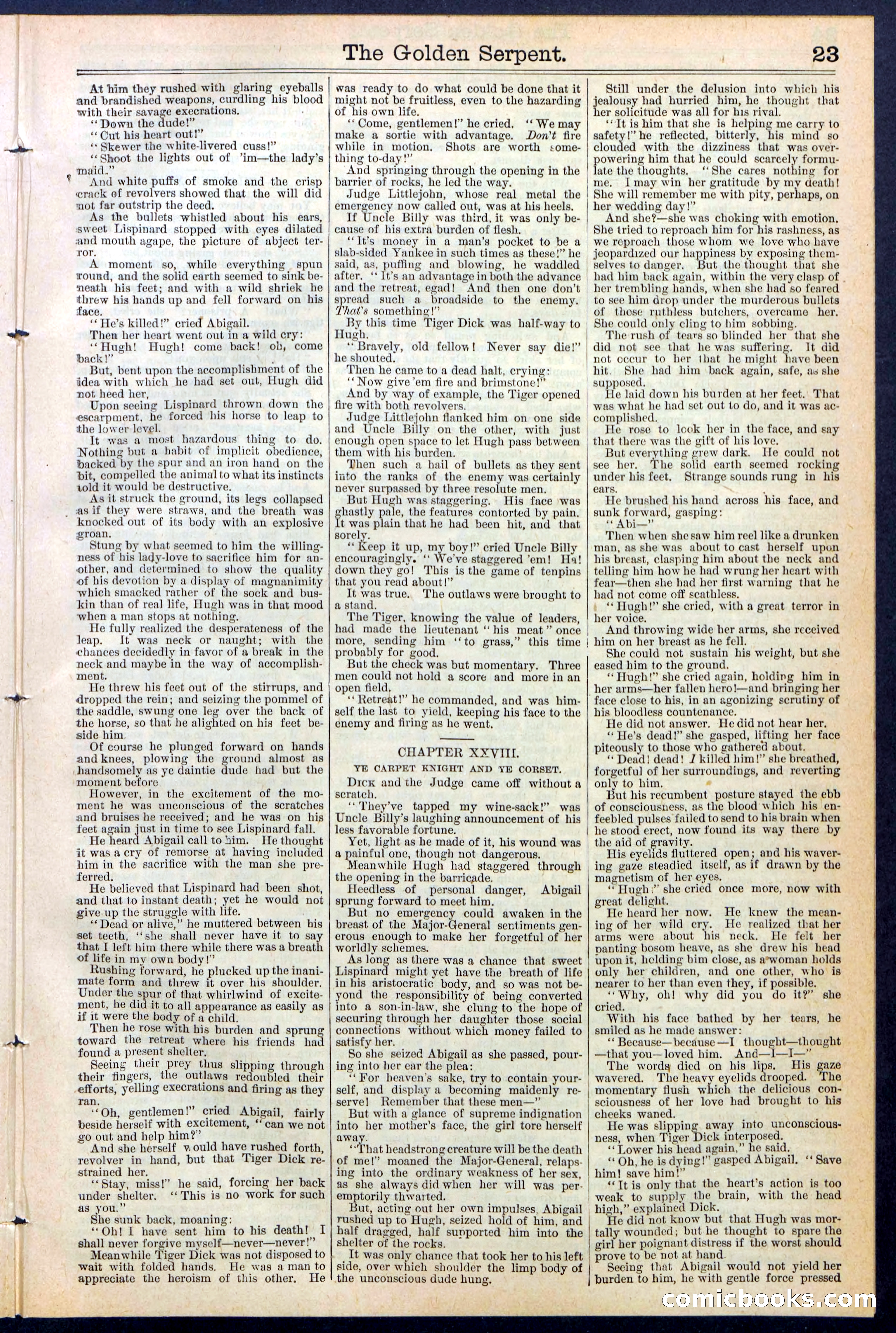 Beadle's New York Dime Library No. 380 — page 23 of 32