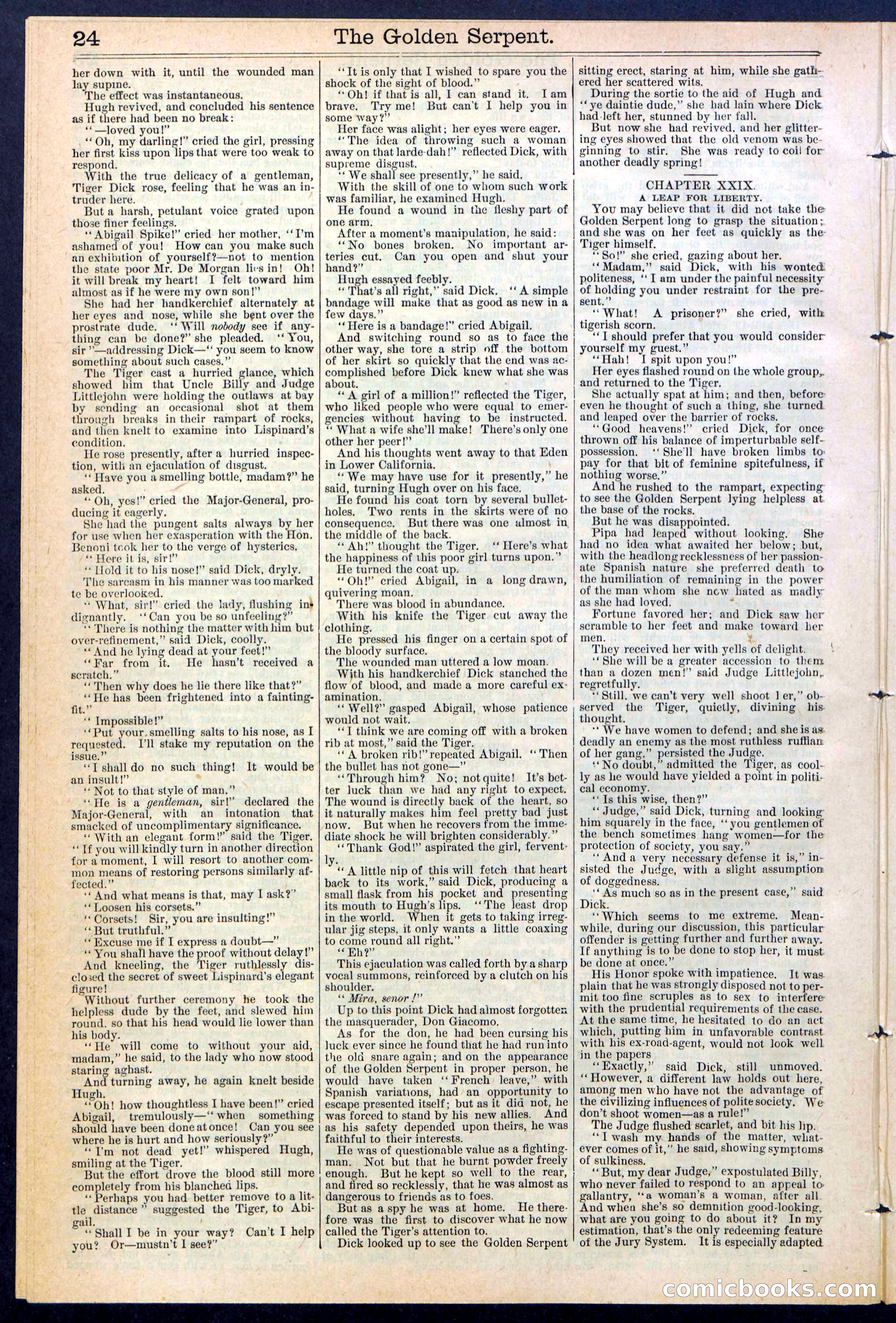 Beadle's New York Dime Library No. 380 — page 24 of 32