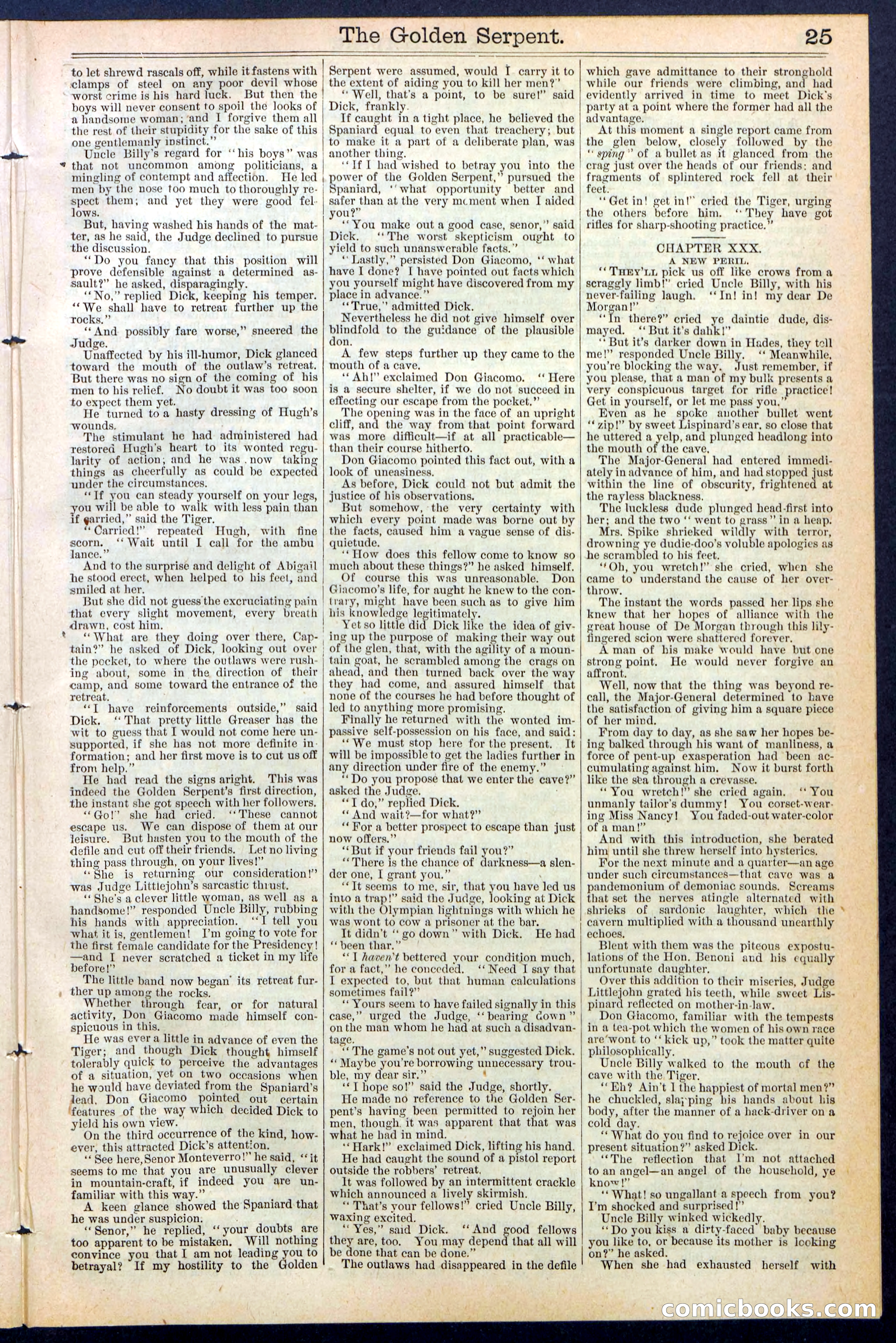 Beadle's New York Dime Library No. 380 — page 25 of 32