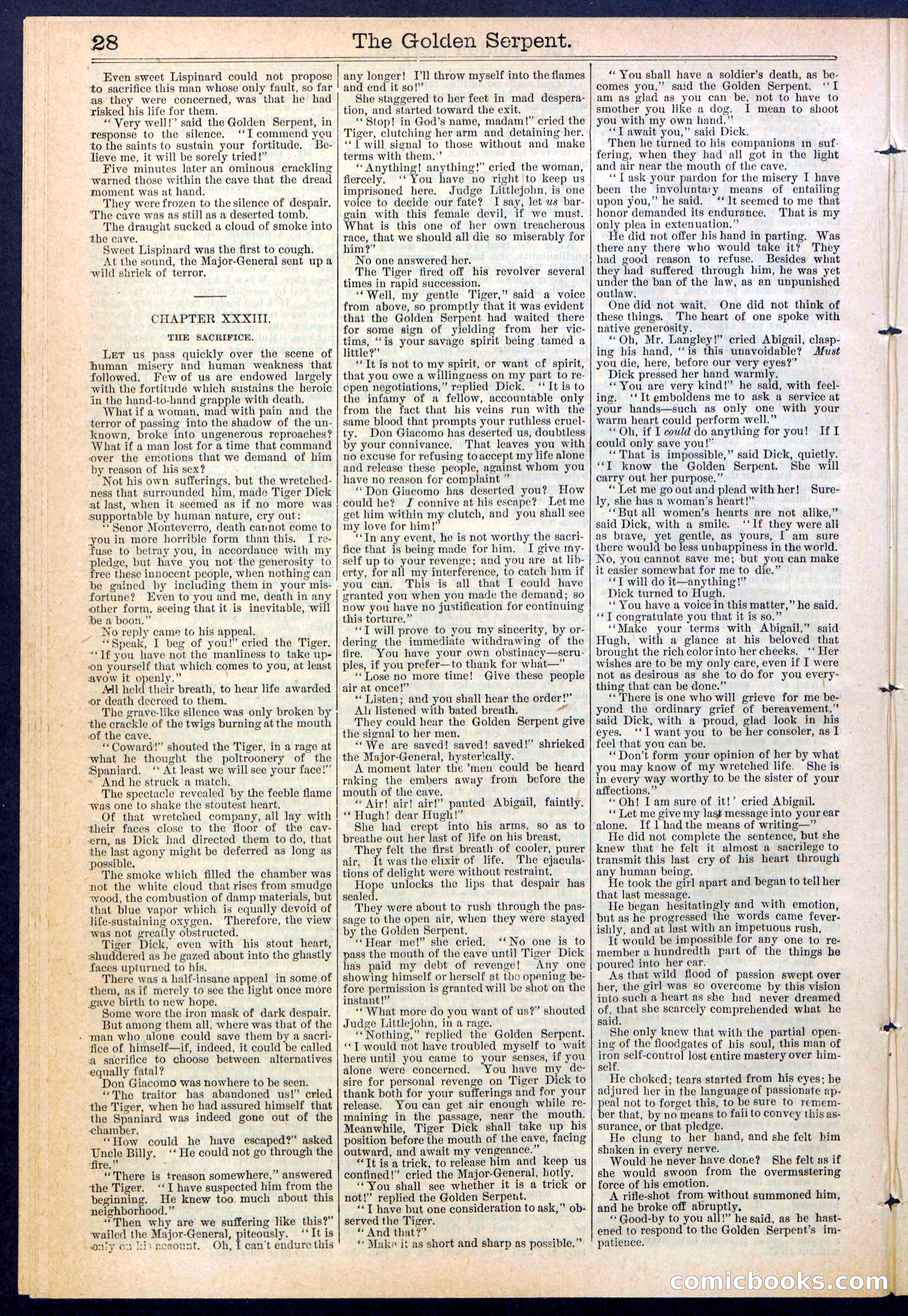 Beadle's New York Dime Library No. 380 — page 28 of 32