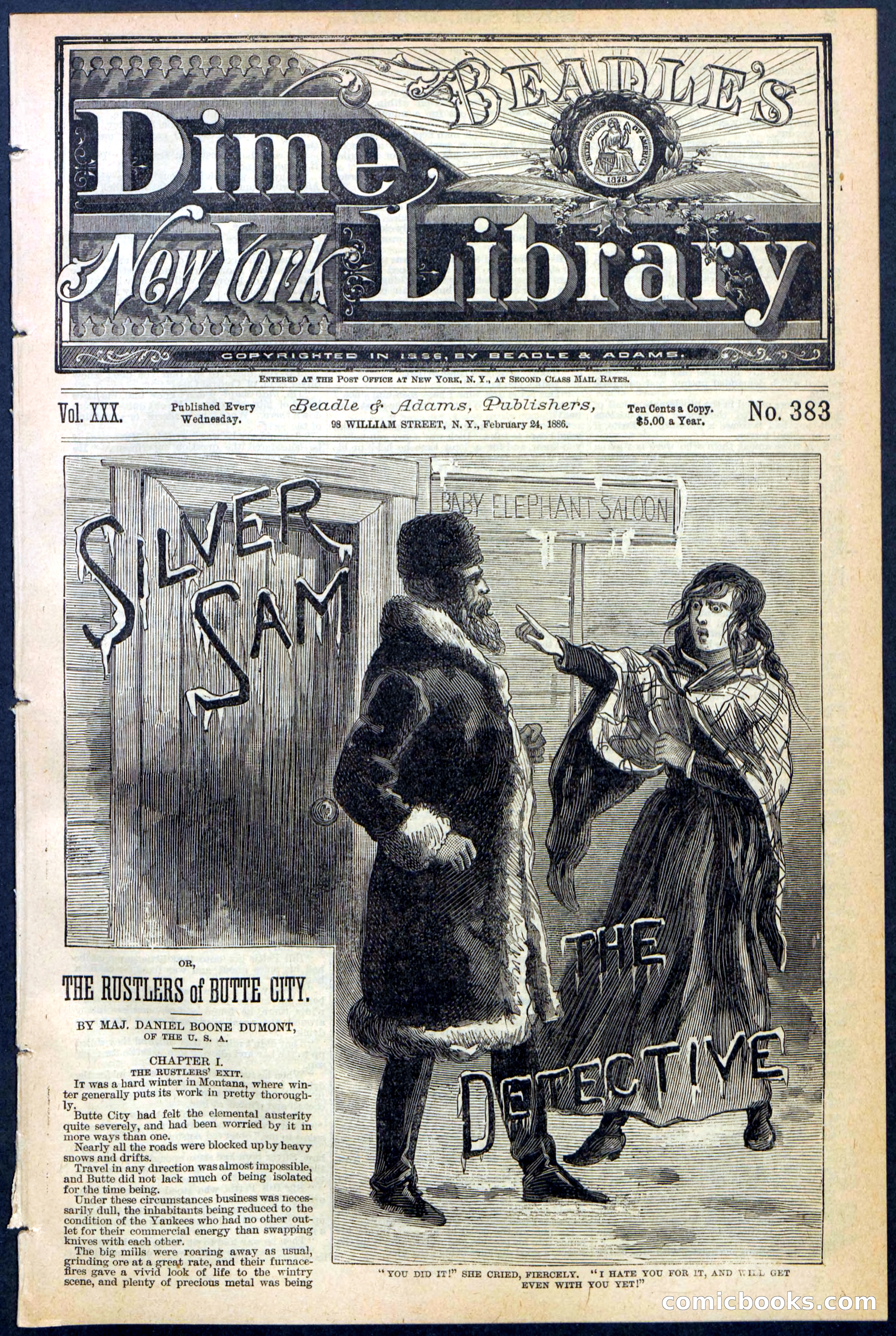 Beadle's New York Dime Library No. 383 — page 1 of 32
