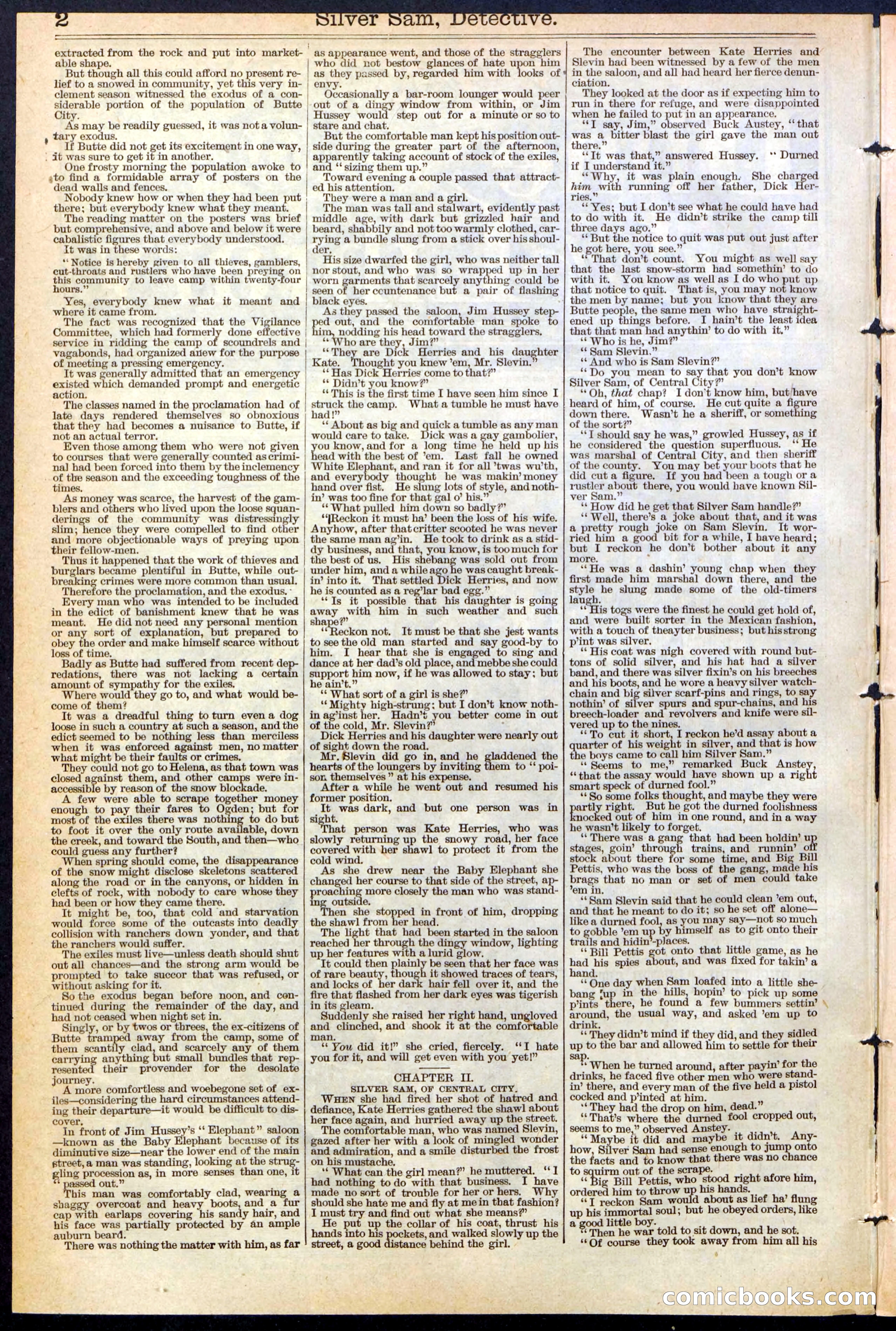 Beadle's New York Dime Library No. 383 — page 2 of 32