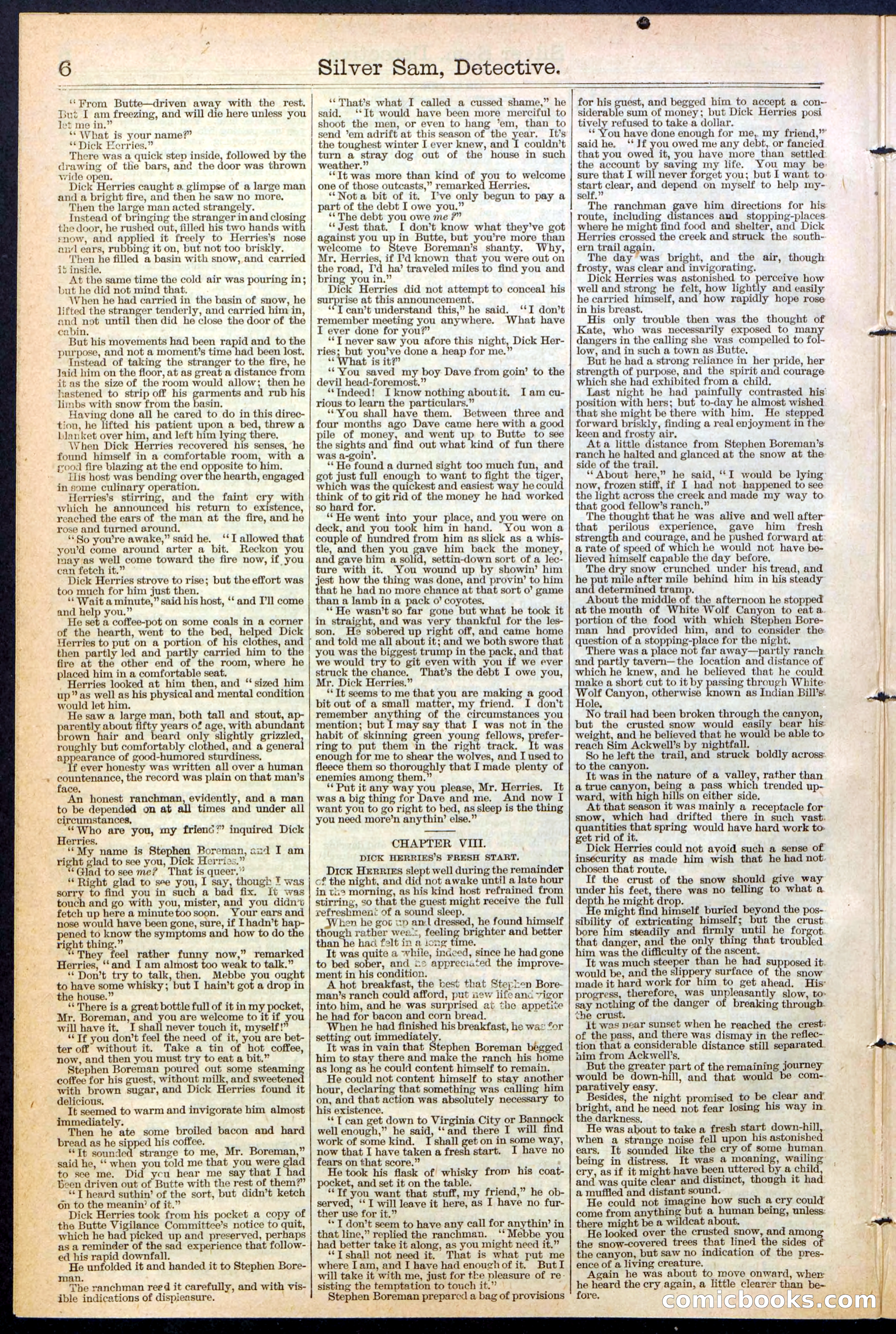 Beadle's New York Dime Library No. 383 — page 6 of 32