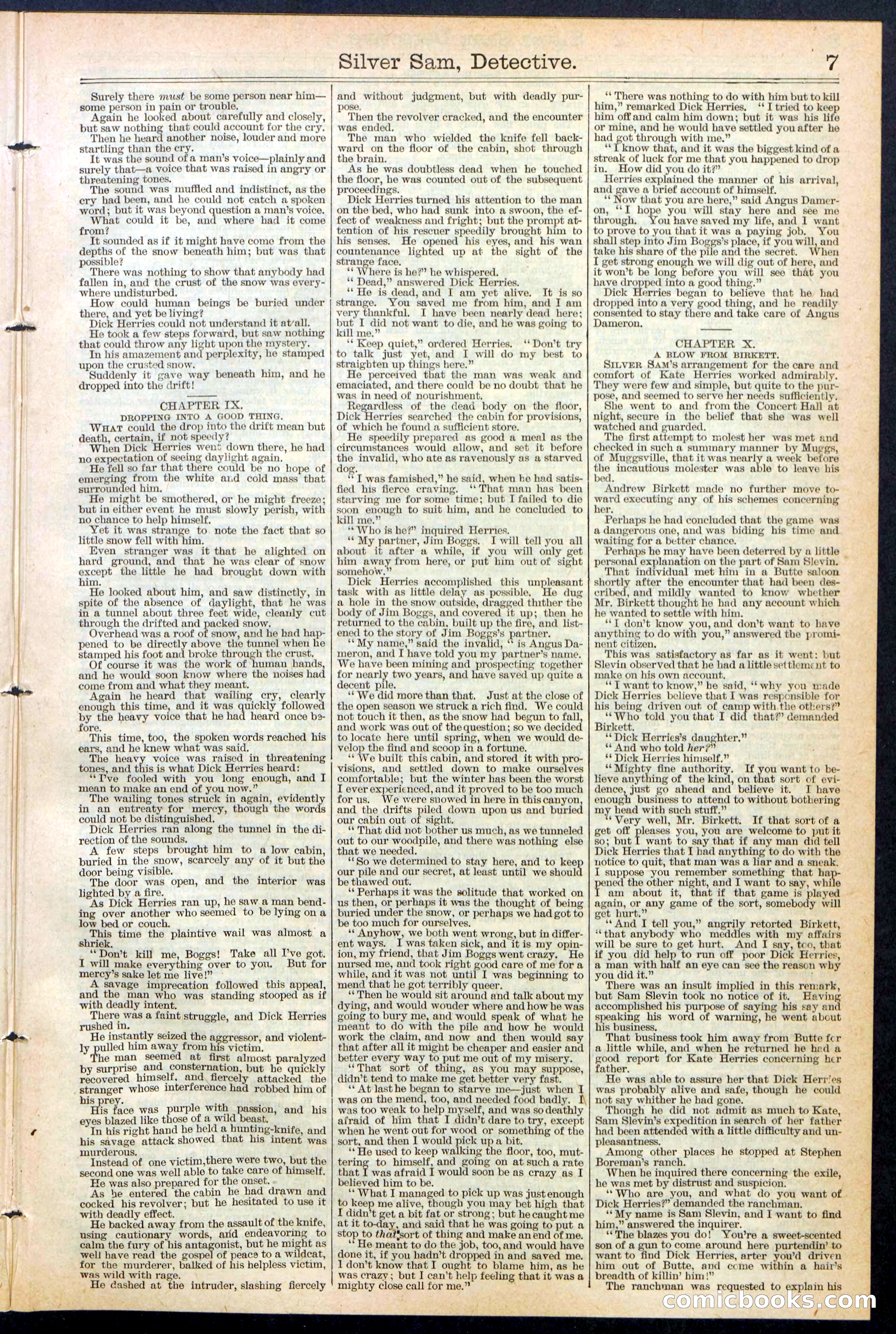 Beadle's New York Dime Library No. 383 — page 7 of 32