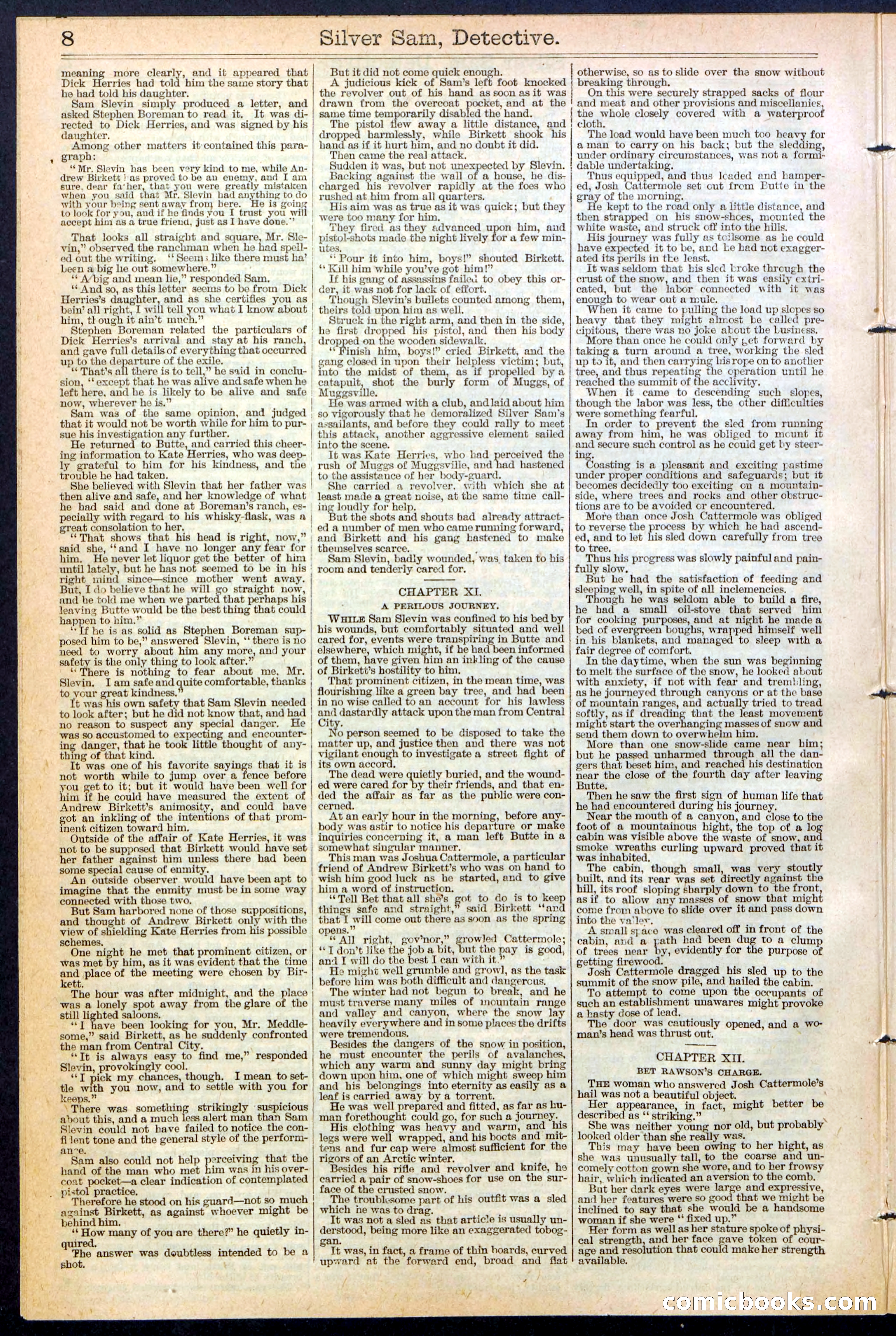 Beadle's New York Dime Library No. 383 — page 8 of 32