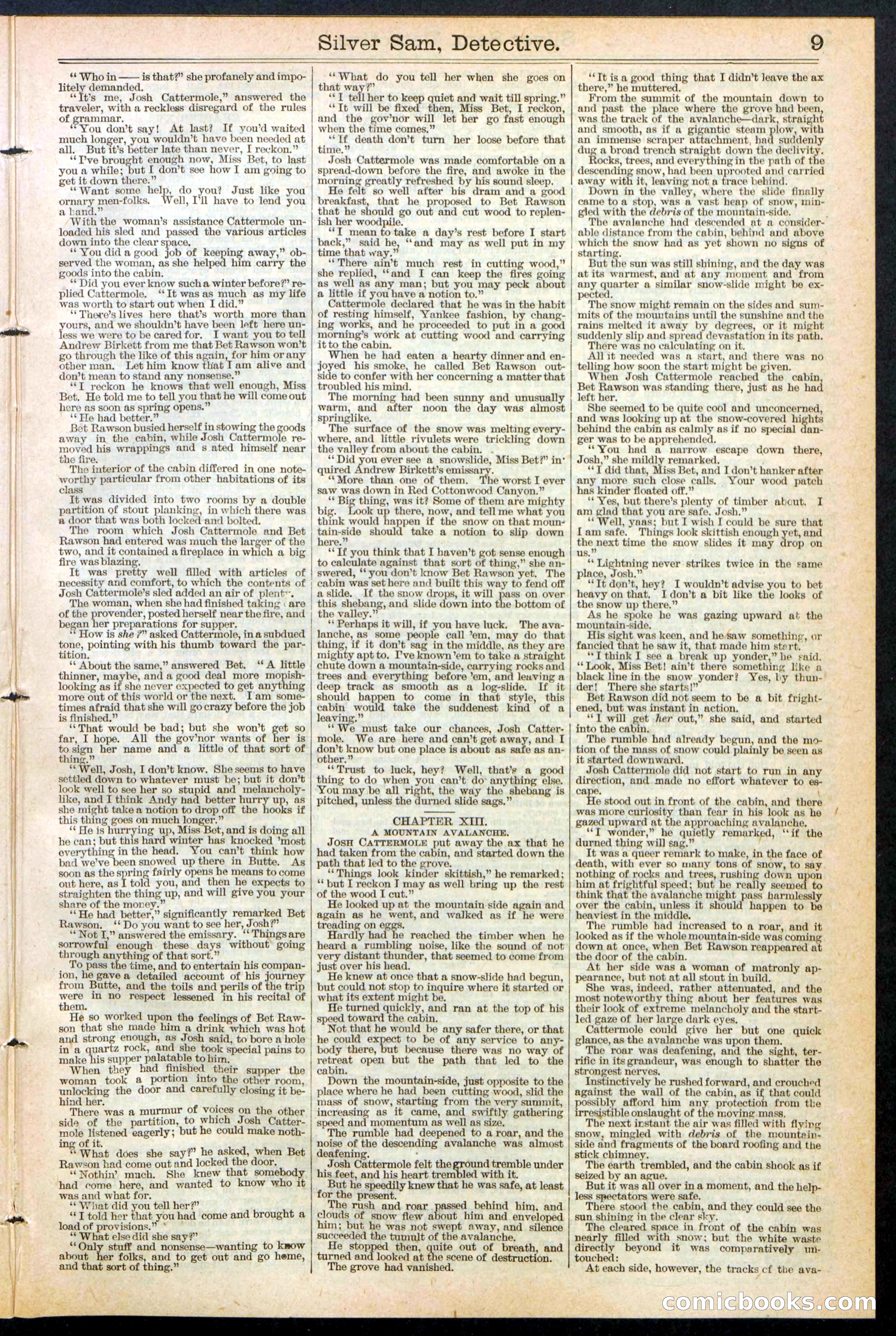Beadle's New York Dime Library No. 383 — page 9 of 32