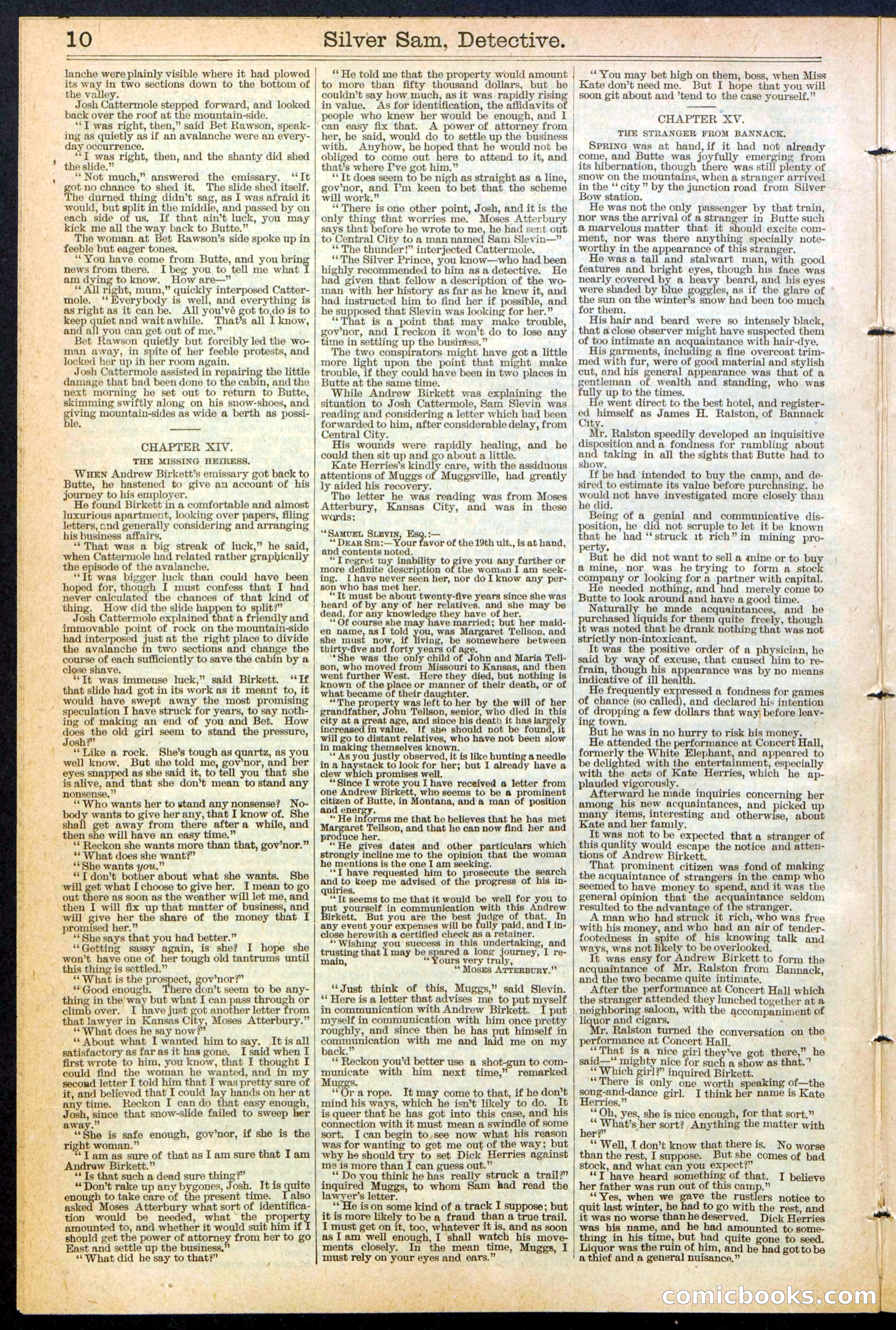 Beadle's New York Dime Library No. 383 — page 10 of 32