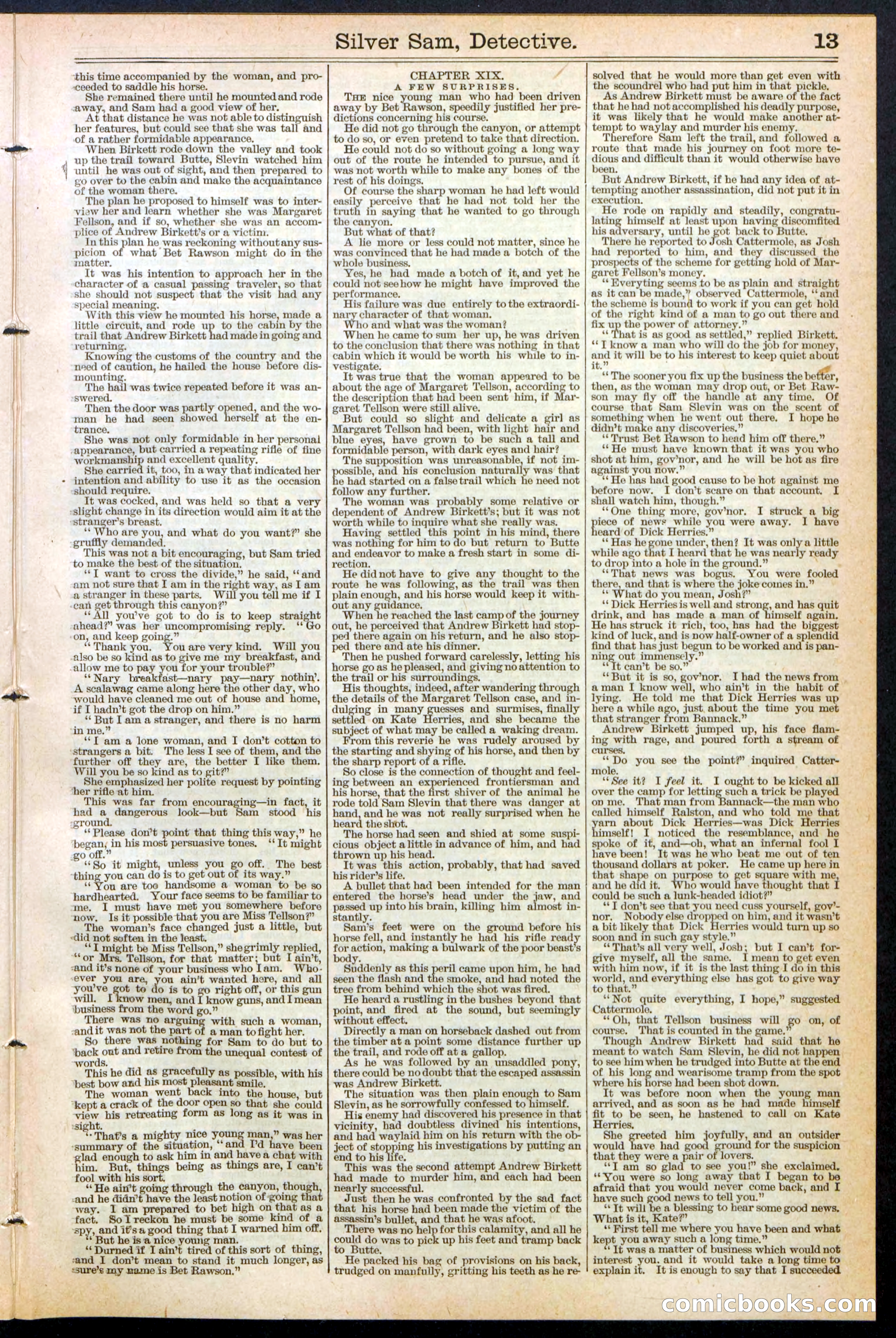 Beadle's New York Dime Library No. 383 — page 13 of 32