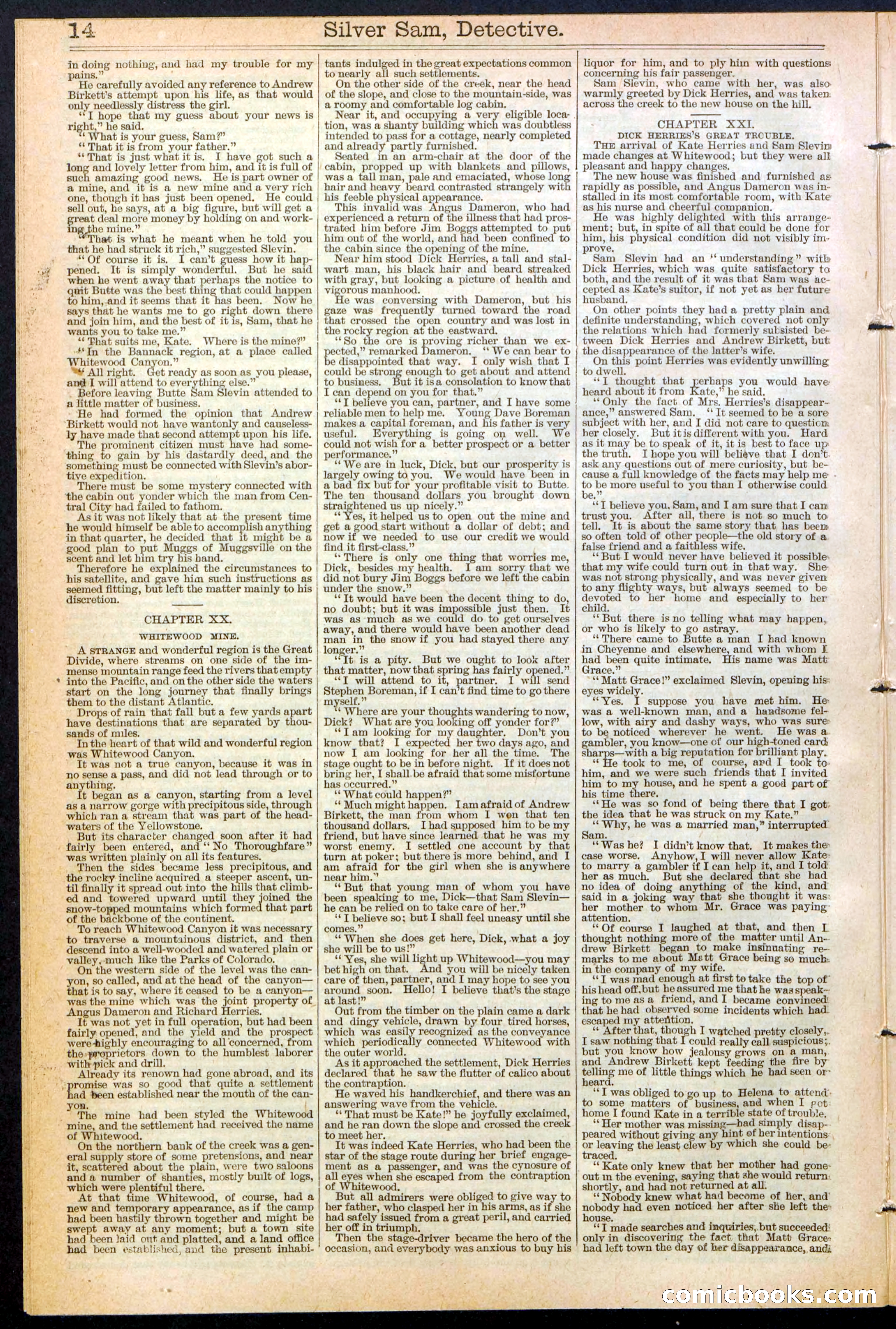 Beadle's New York Dime Library No. 383 — page 14 of 32