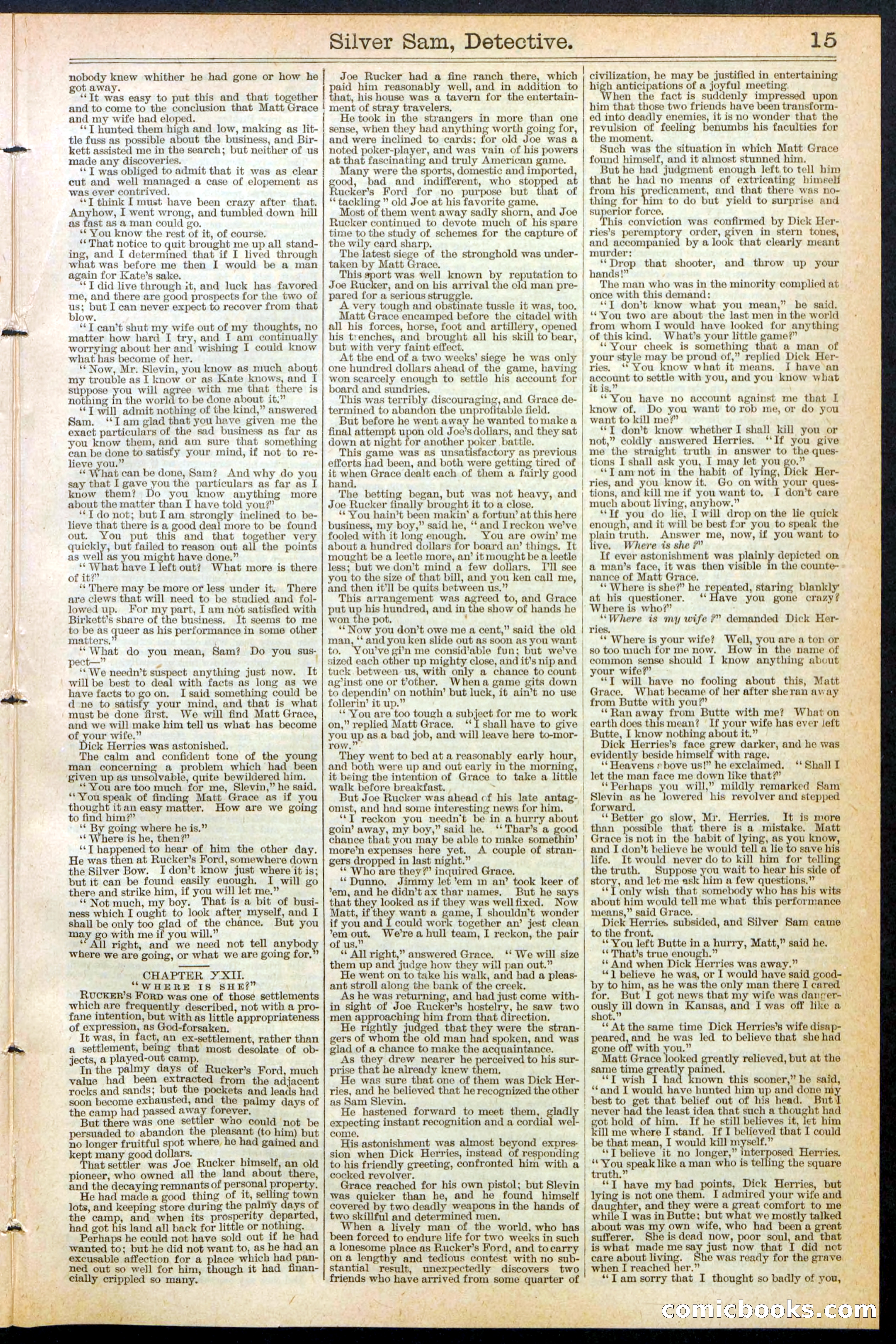 Beadle's New York Dime Library No. 383 — page 15 of 32