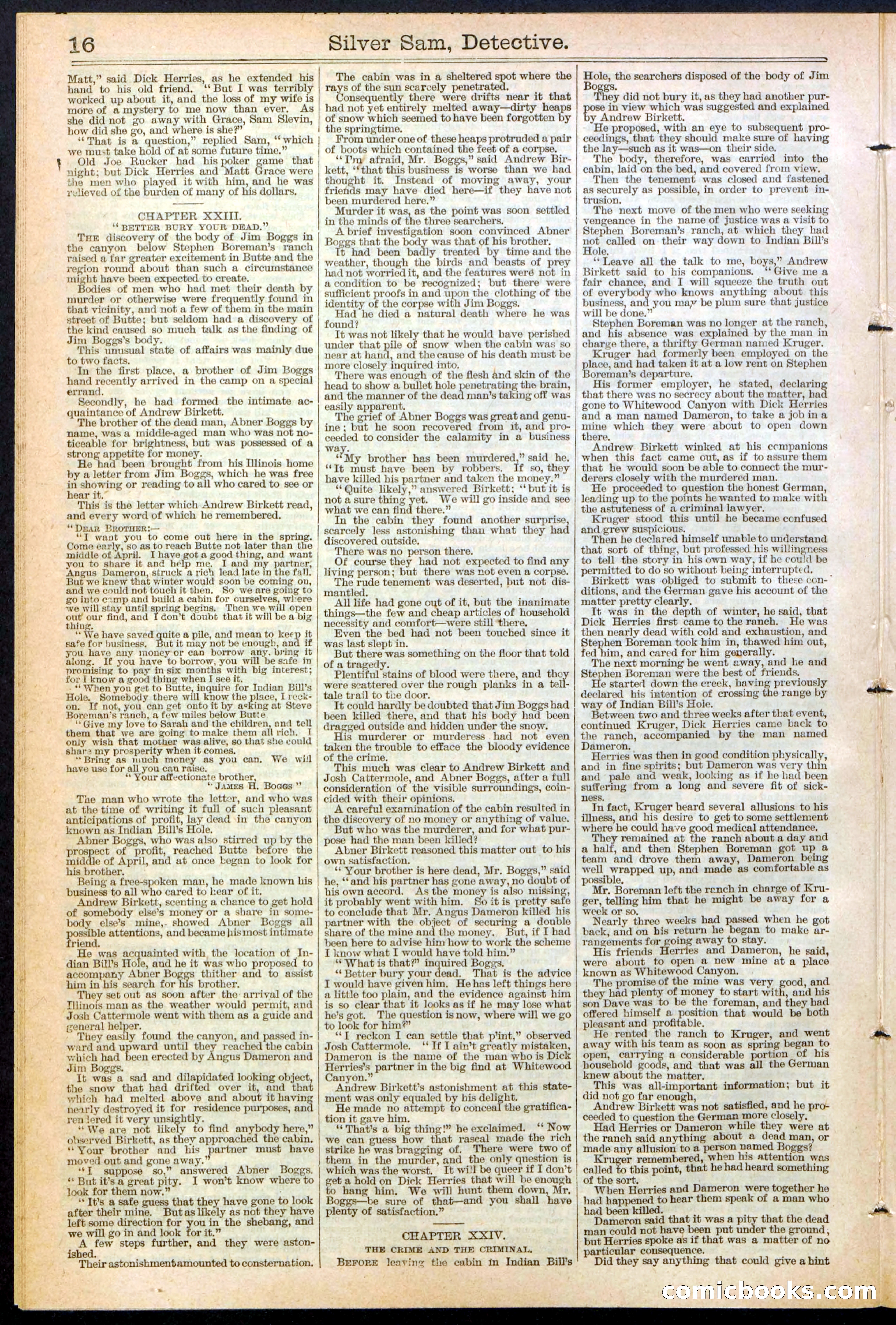 Beadle's New York Dime Library No. 383 — page 16 of 32
