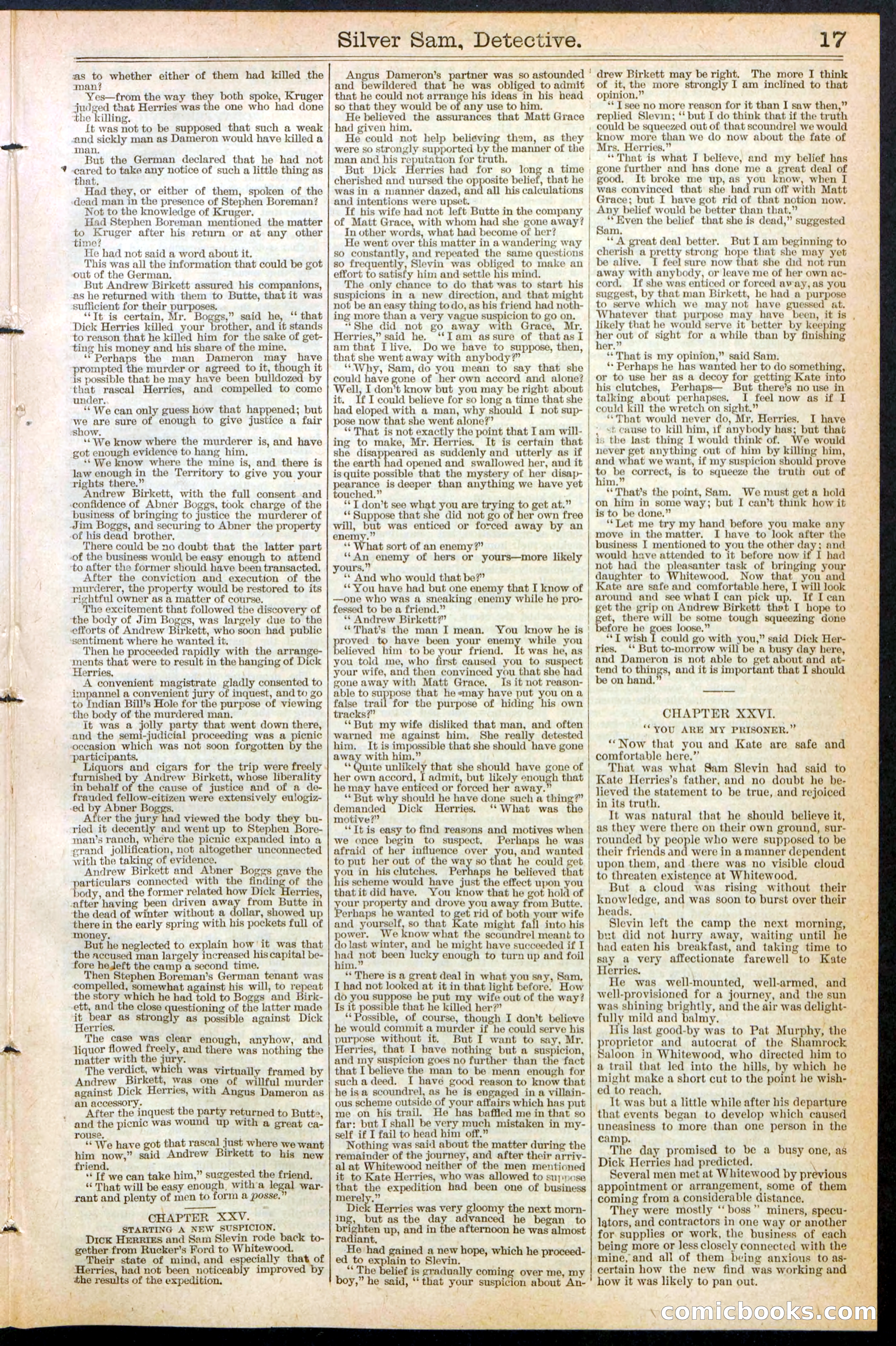 Beadle's New York Dime Library No. 383 — page 17 of 32